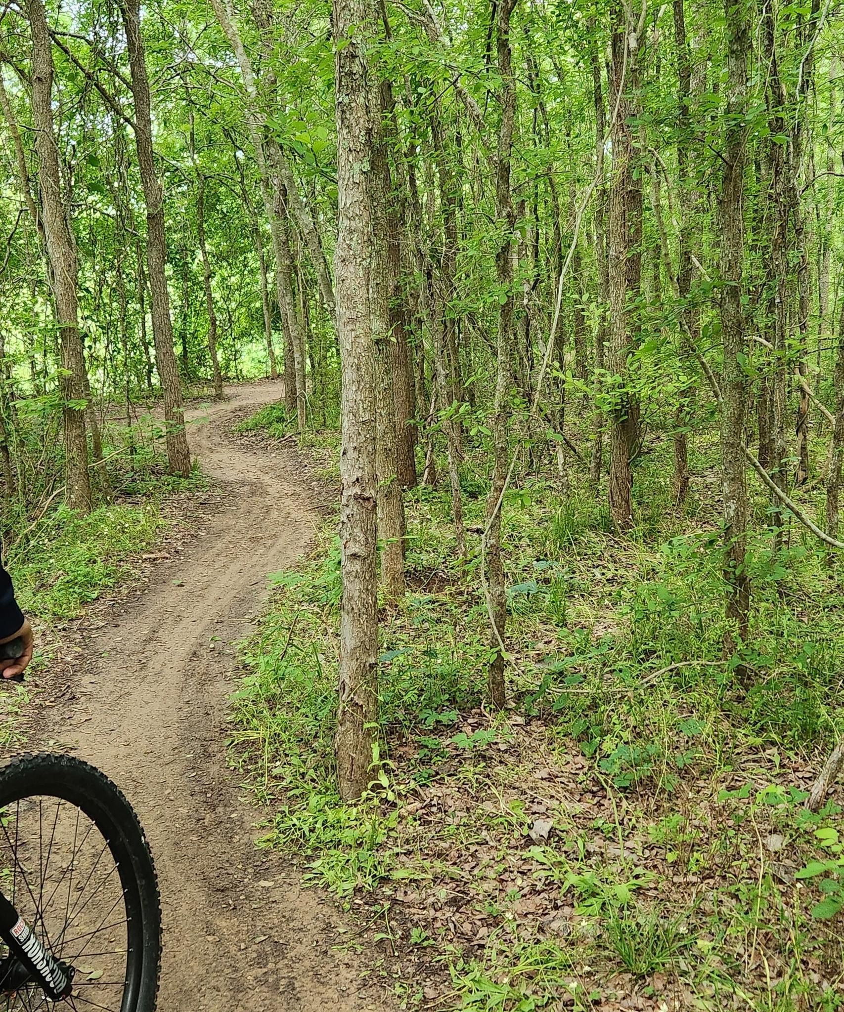 A winding dirt trail through a dense green forest, with a bike wheel visible.