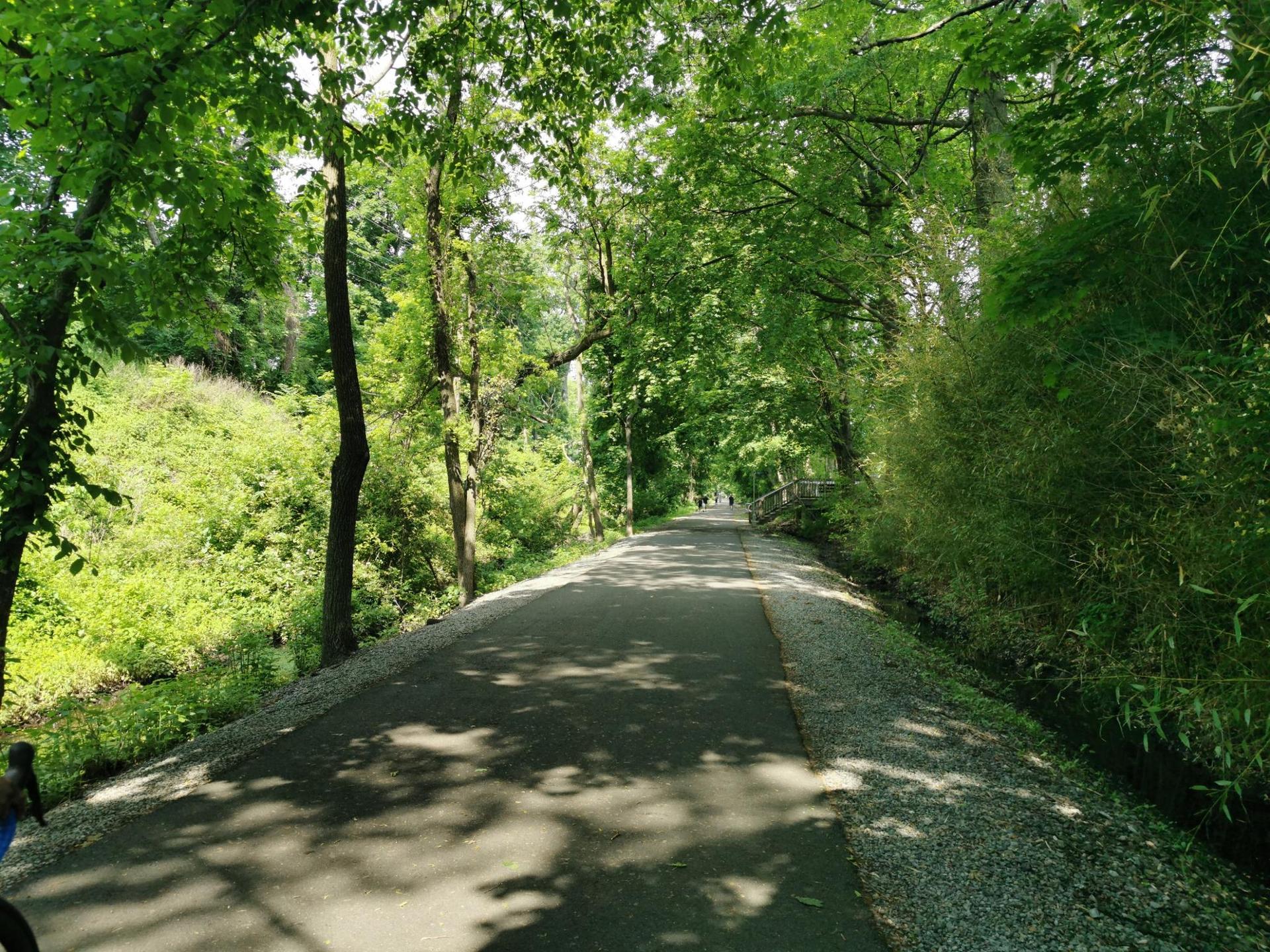Sunny paved path through a lush green forest, with dappled light and distant figures.