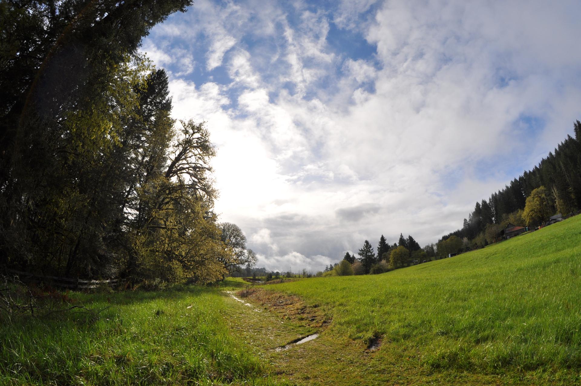 A wide-angle view of a green grassy field under a cloudy sky.