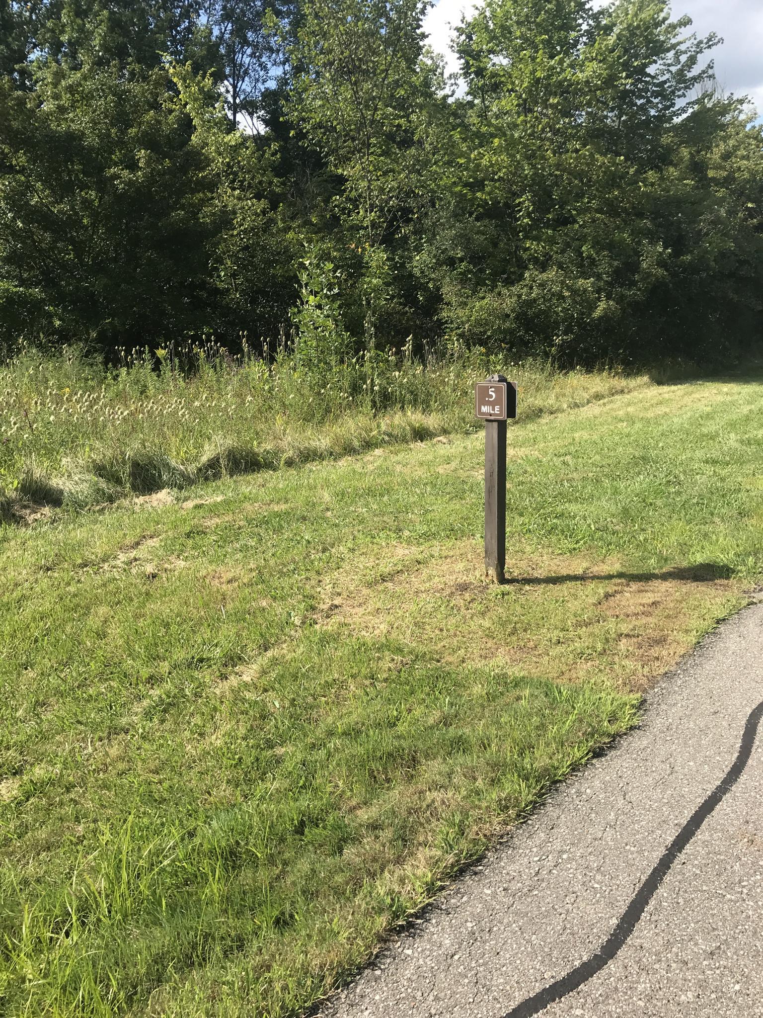 A wooden signpost stands in a sunny grassy field next to a paved path.