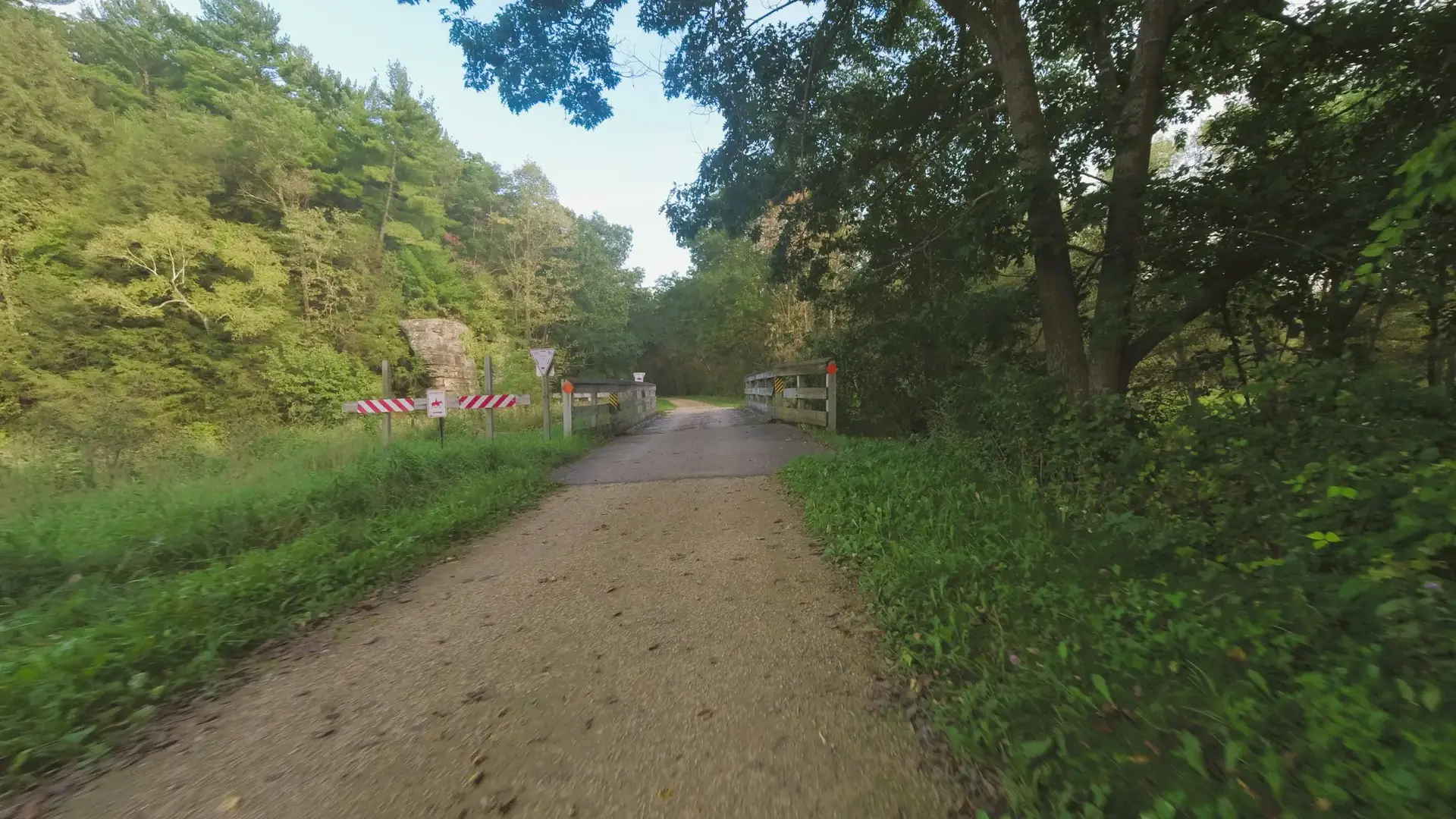 Dirt path leading to a small wooden bridge in a lush green forest.