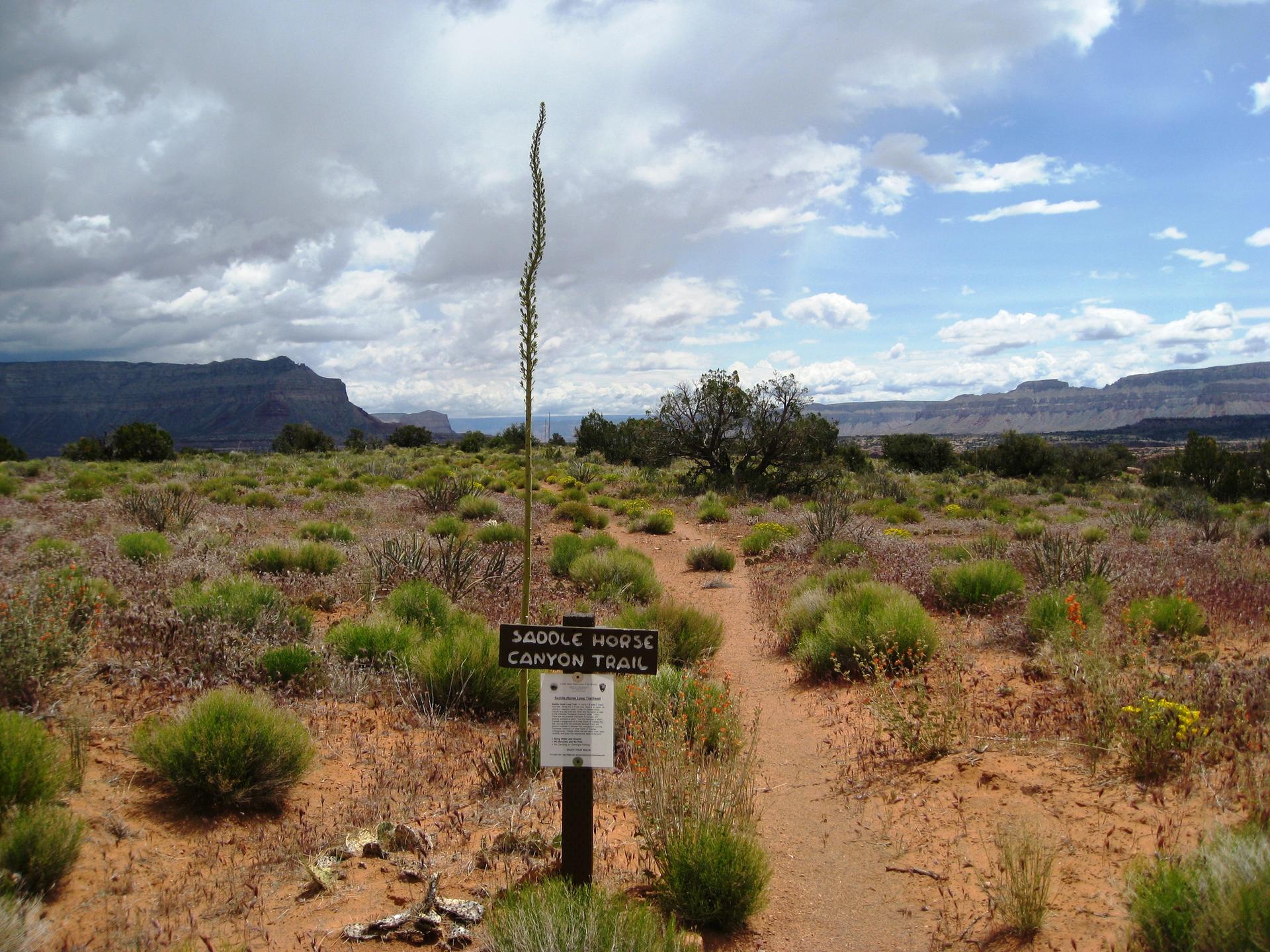 A dirt trail through arid scrubland with a sign under a cloudy sky.