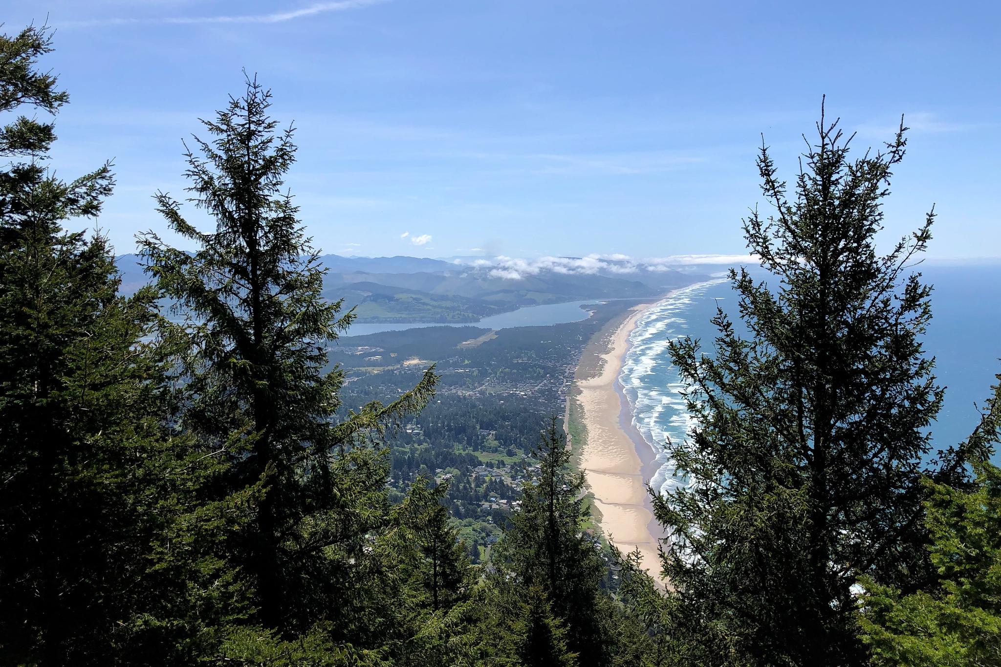 Panoramic view of a long sandy beach with ocean waves, framed by evergreen trees.