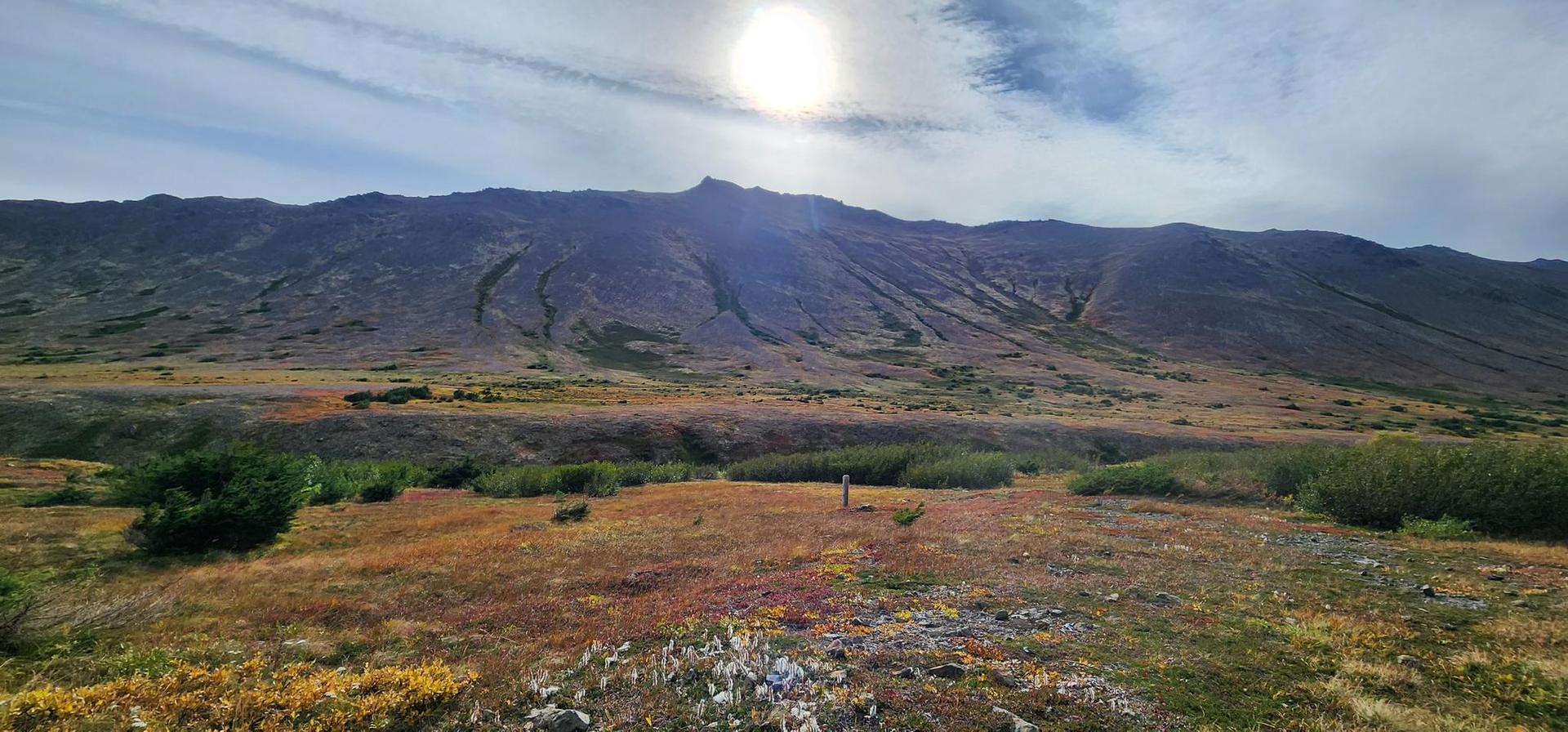 Bright sun over a wide valley with dry grasses and a distant mountain.