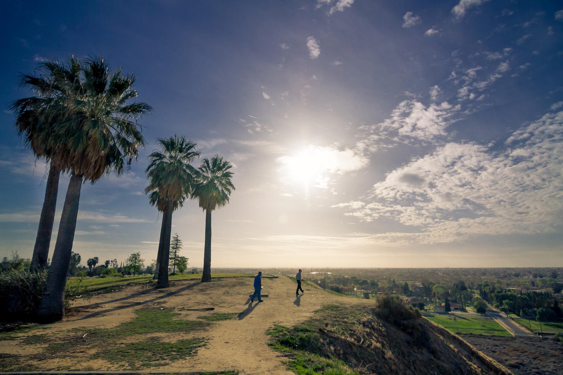 Sunny view of people walking on a dirt path with palm trees.