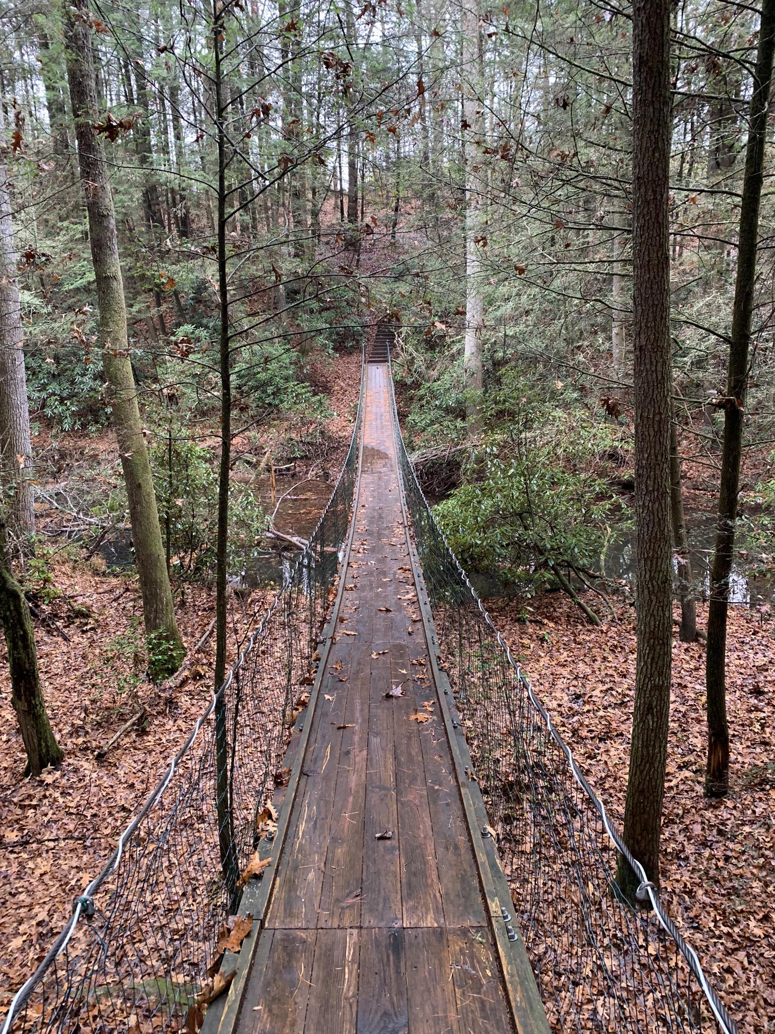 Wooden suspension bridge stretching over a stream through a dense, autumn forest.