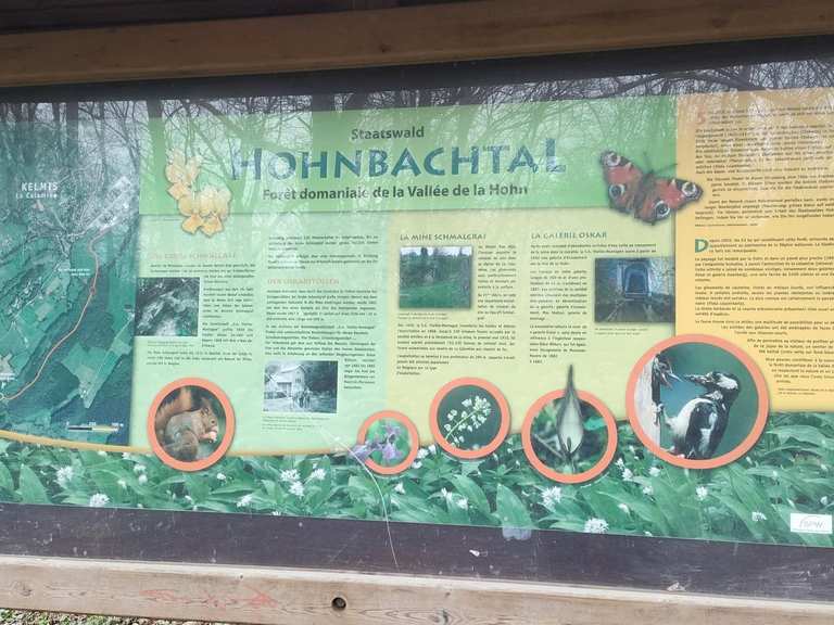 informationstafel-naturschutzgebiet-hohnbachtal-wanderungen-anfahrt