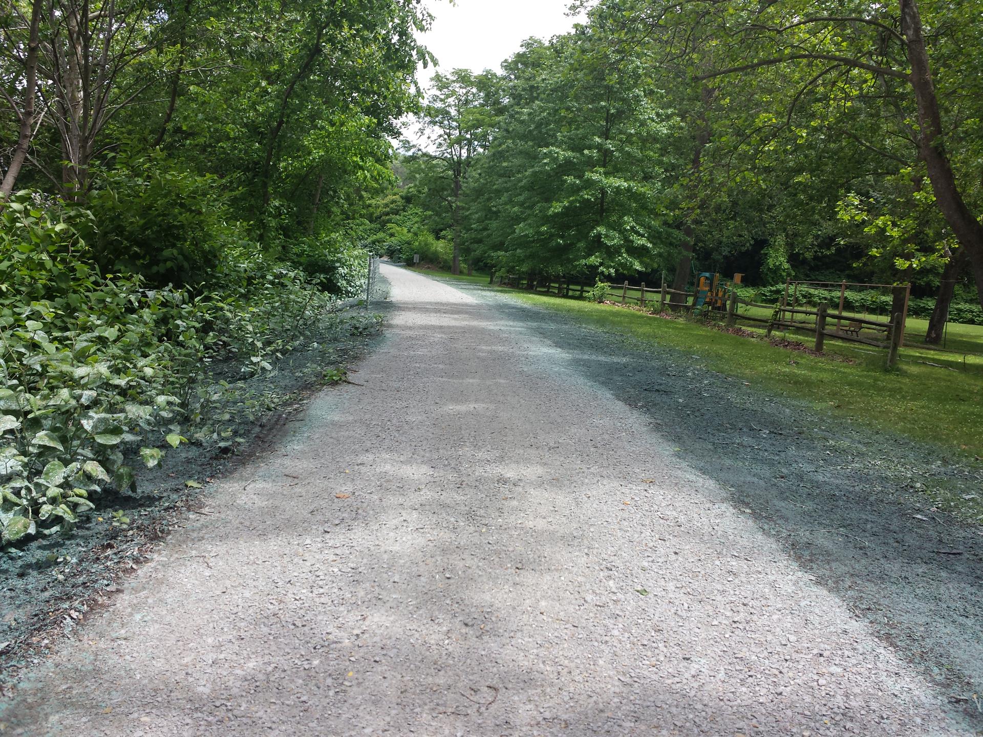 A sunlit gravel path winding through dense green foliage and trees.