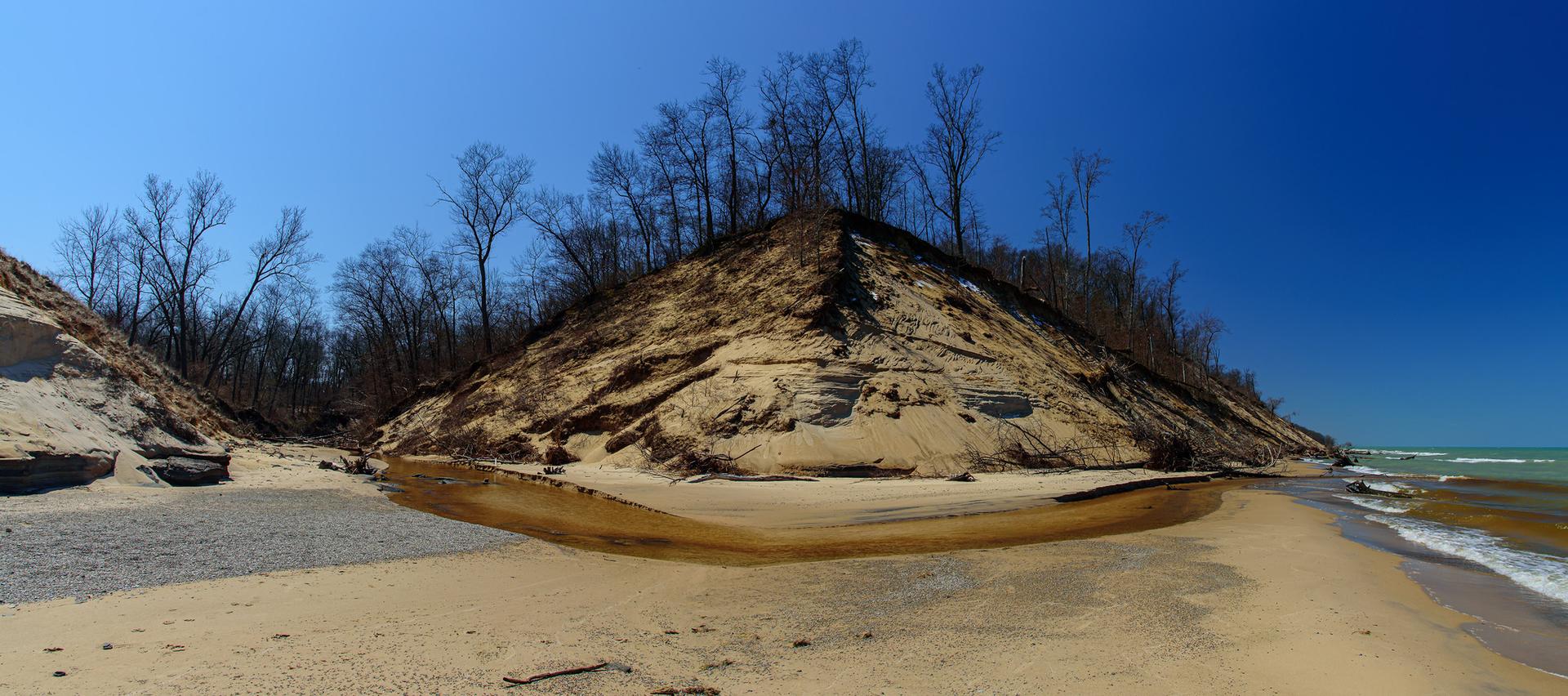 Sandy beach, stream, and large dunes with bare trees under a clear blue sky.