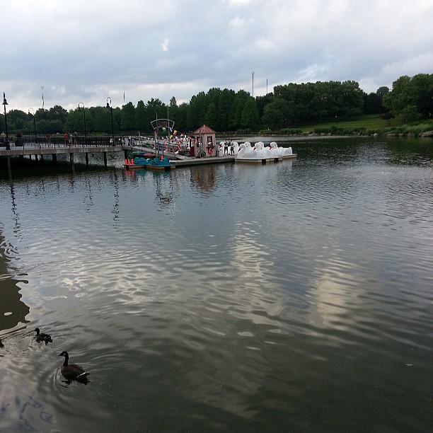 Overcast day at a lake with a dock, paddle boats, and ducks.