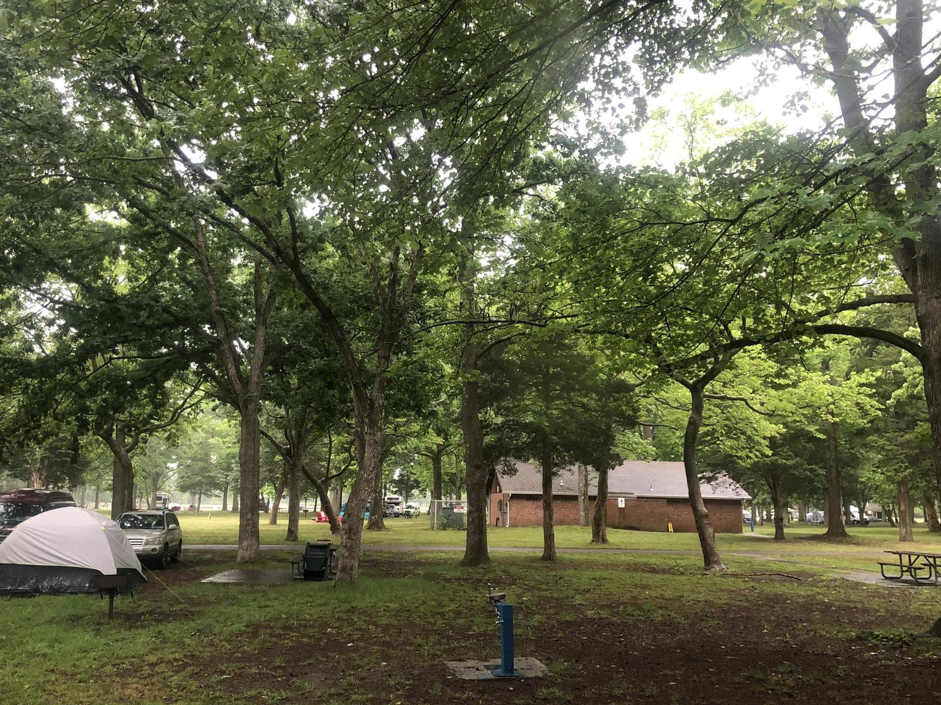 Shady forest campground with a tent, cars, and building under tall trees.