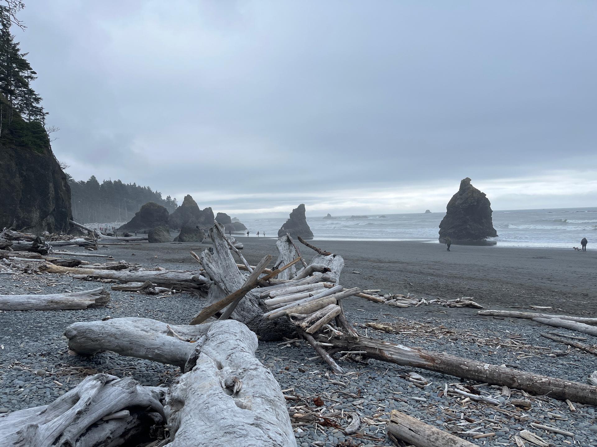 Overcast beach with abundant driftwood, crashing waves, and distant sea stacks.