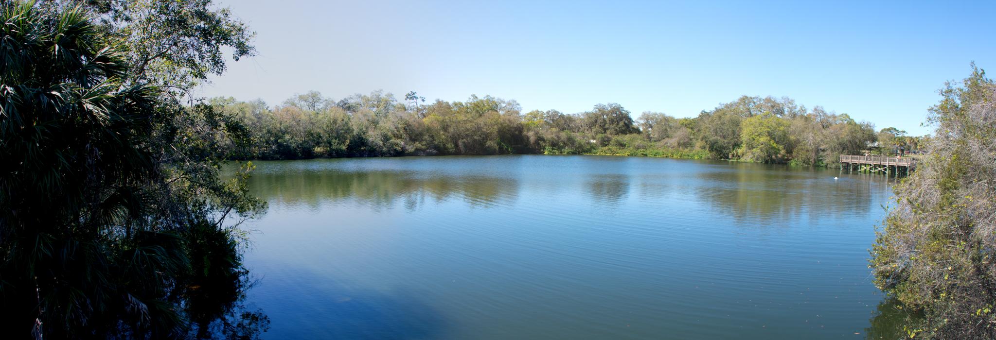 Calm blue water surrounded by green trees and a distant boardwalk on a sunny day.