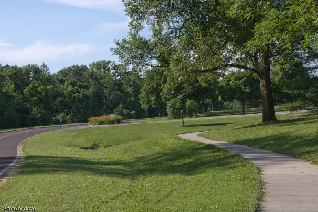 A winding paved path through a sunny green park with large trees.