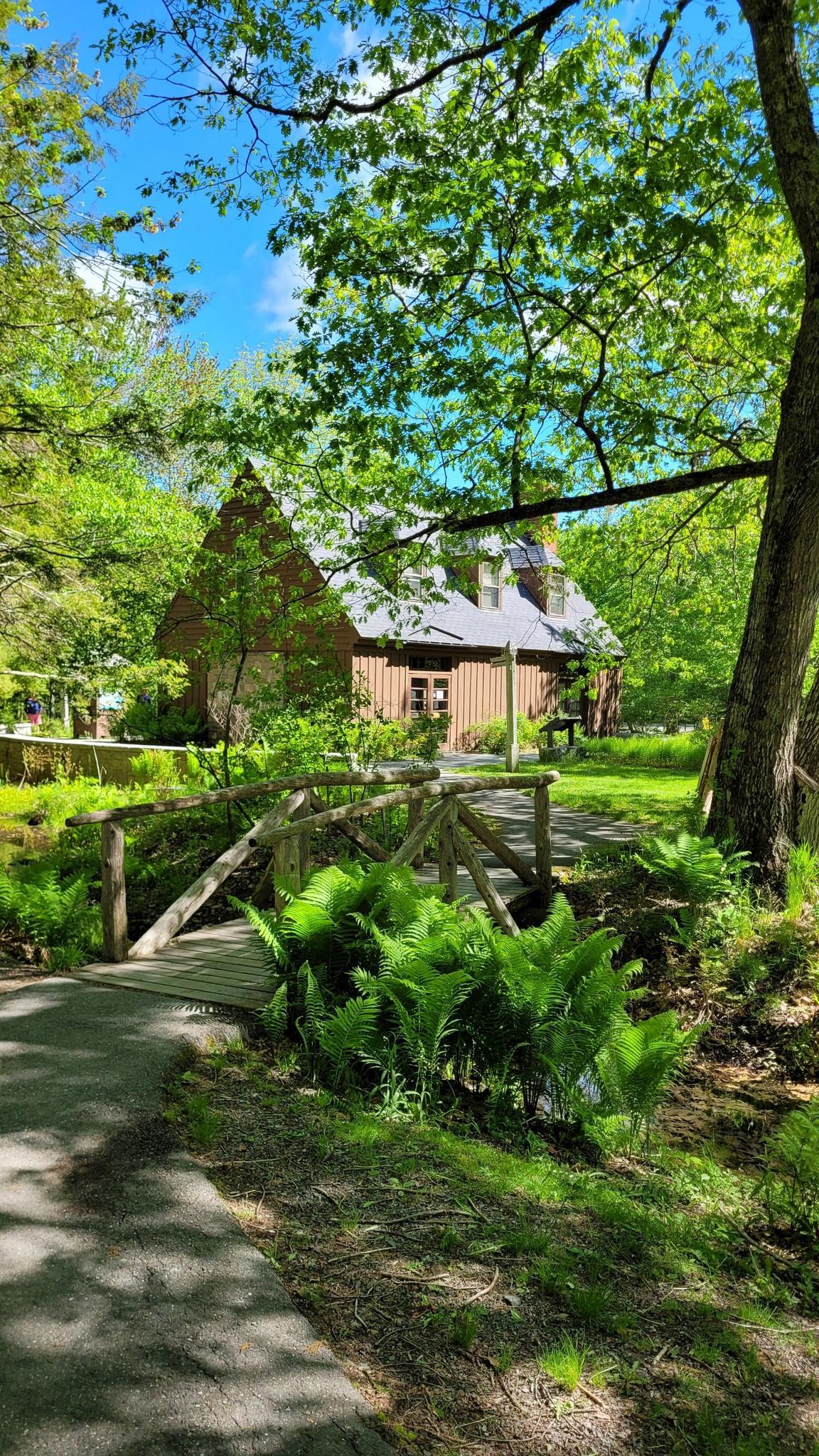 Sunny path with a wooden bridge leading to a rustic building surrounded by trees.