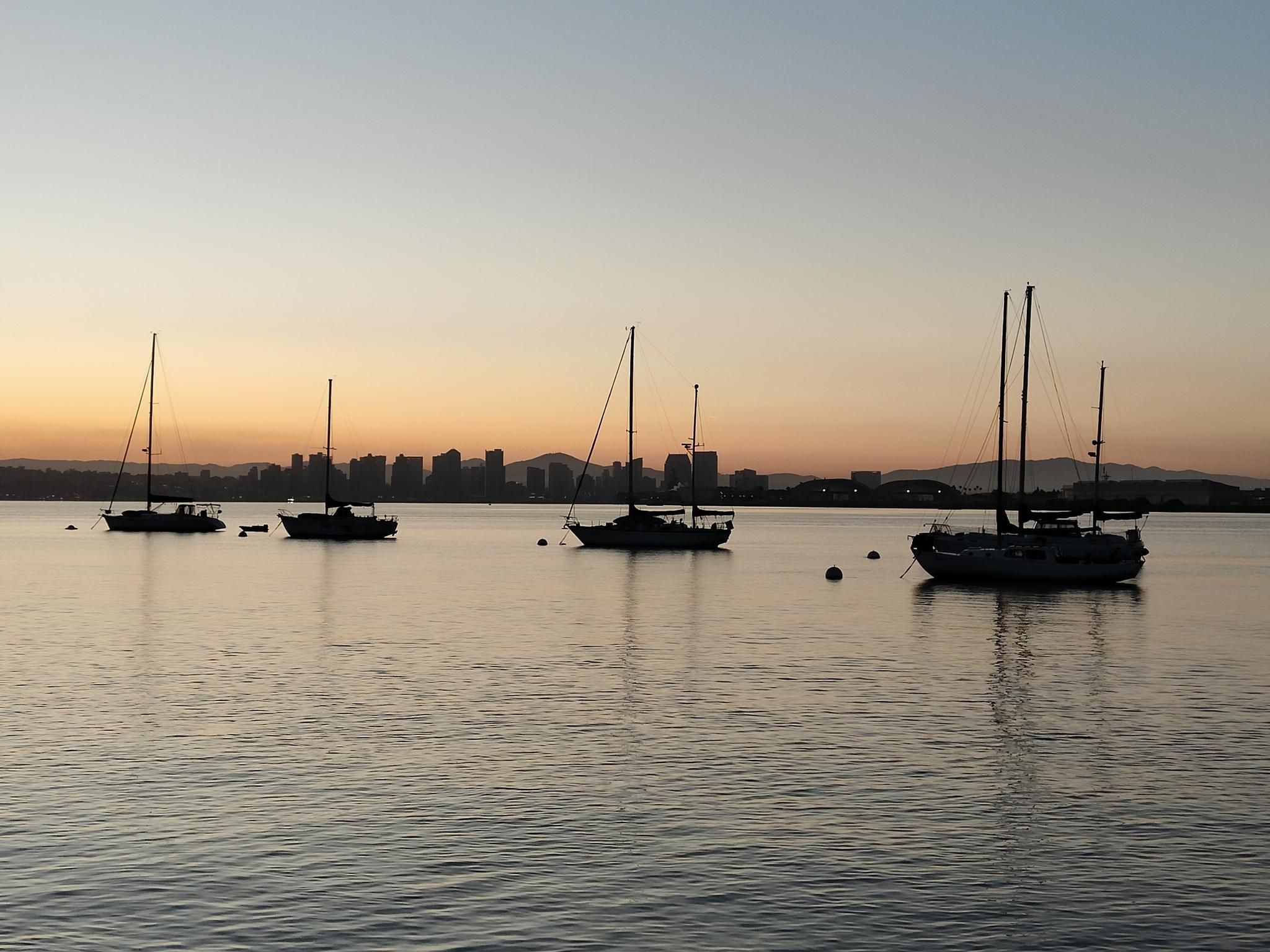 Silhouetted sailboats on calm water with a distant city skyline at sunset. - Shelter Island Loop