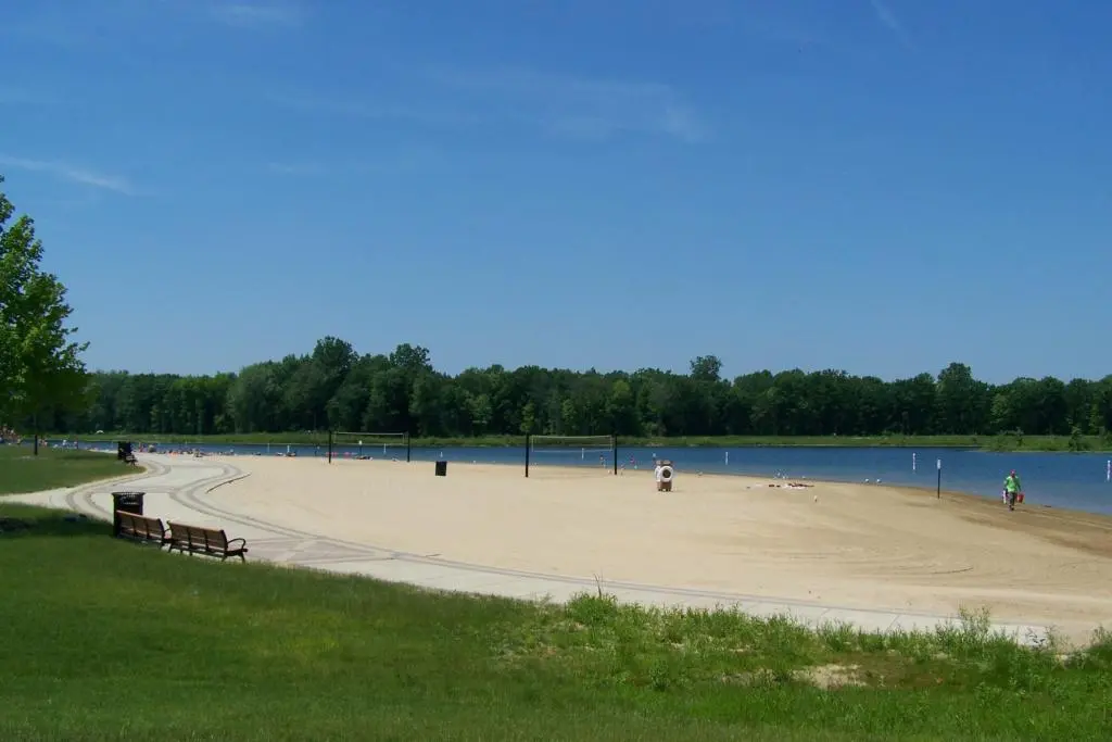 A person walks on a sunny beach by a lake and green trees.