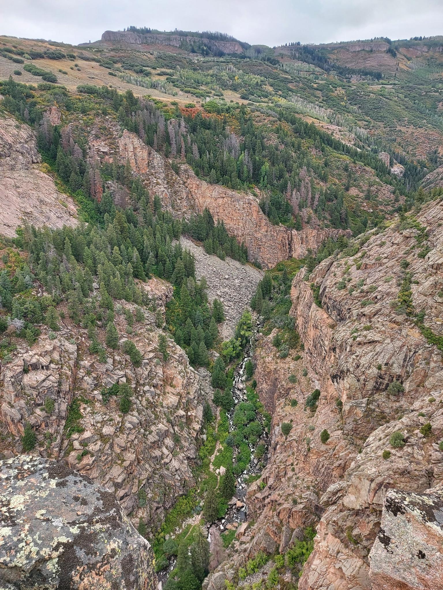 A narrow, rocky canyon with a small stream and dense green trees.