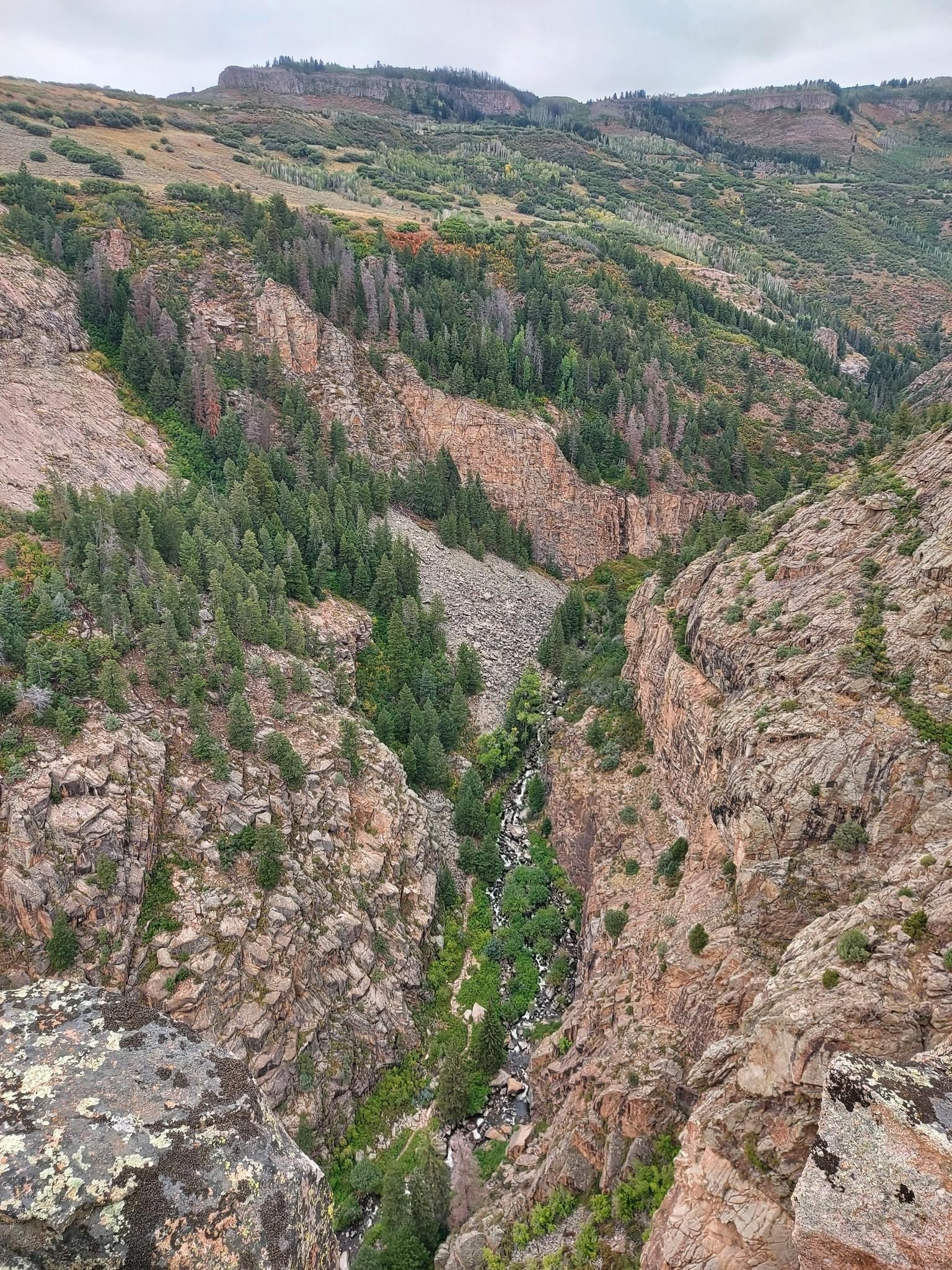 A narrow, rocky canyon with a small stream and dense green trees. - Curecanti Creek Trail