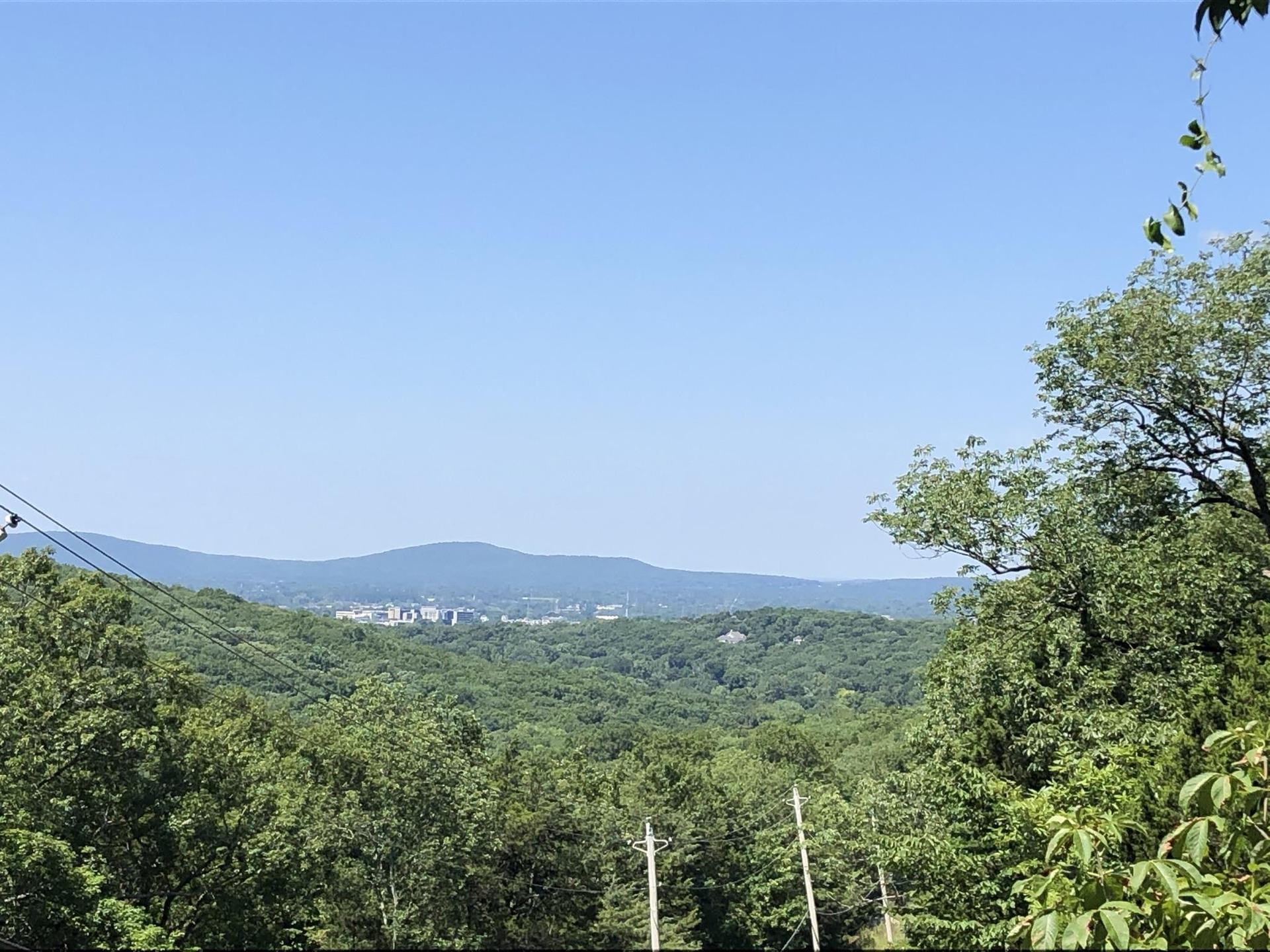 Panoramic view of green forested hills, distant town, under a clear blue sky.