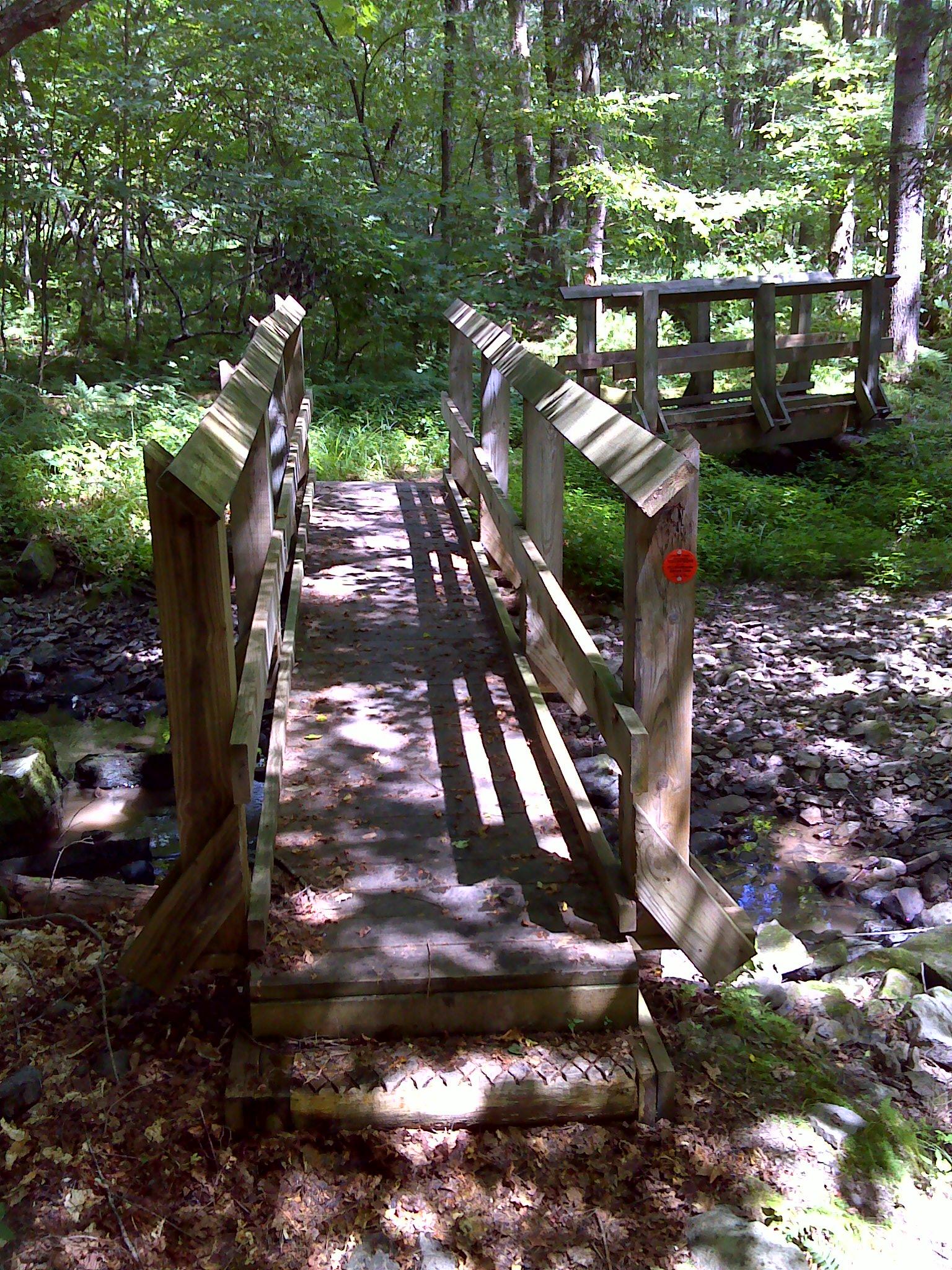 Two wooden footbridges cross a rocky stream in a sun-dappled forest.
