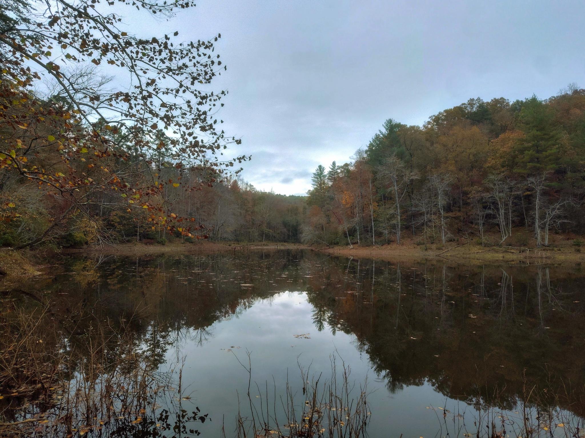 Serene lake reflecting colorful autumn trees under a cloudy sky.