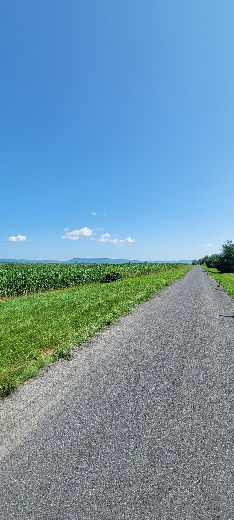 Long gravel road through green fields under a bright blue sky.