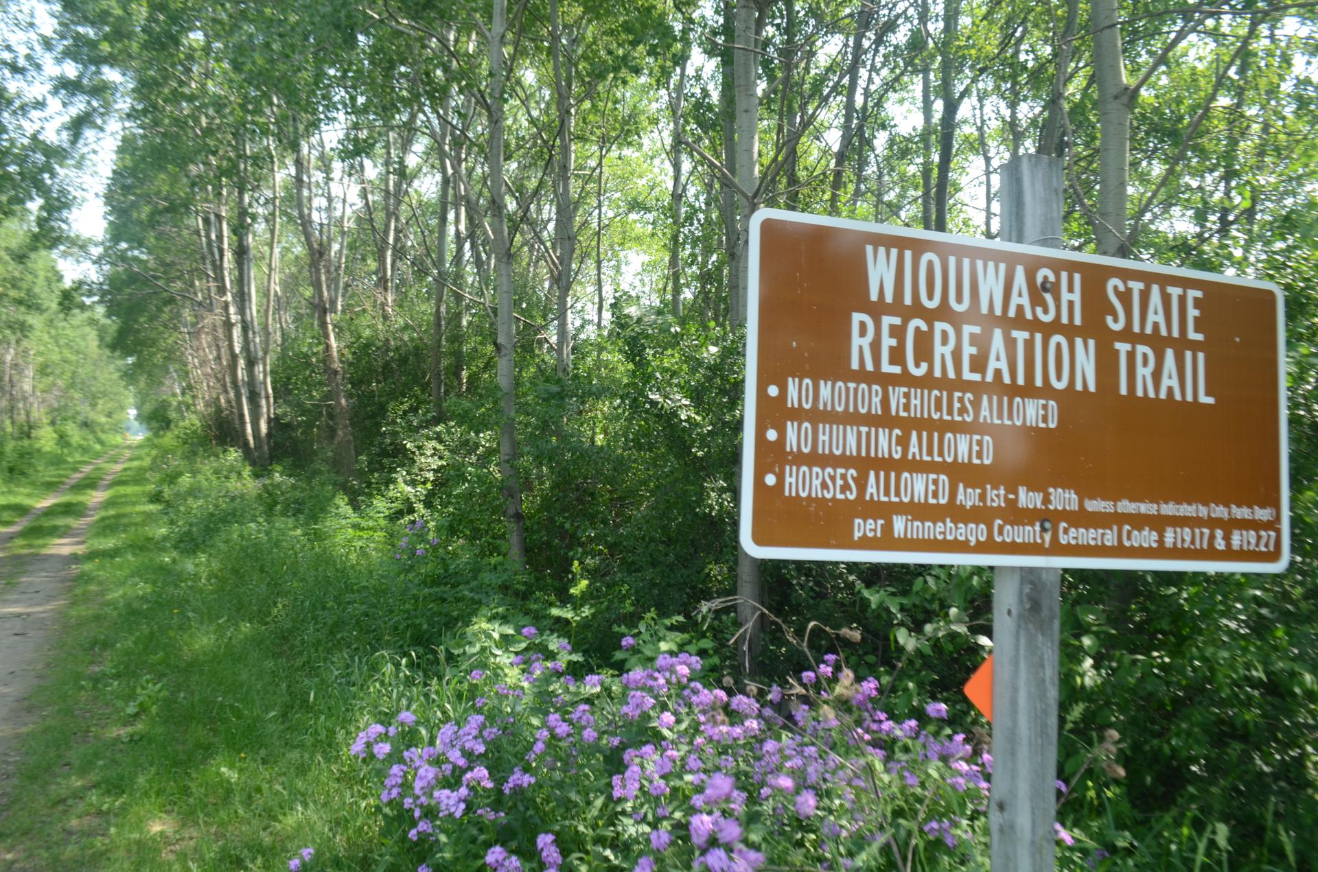 A brown sign stands beside a dirt path through a lush green forest.