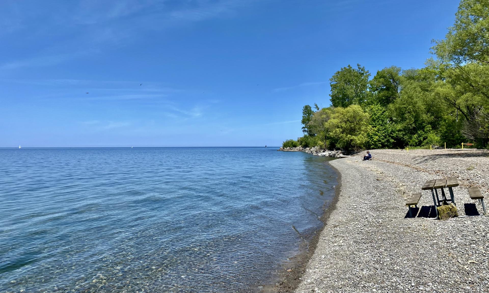 Sunny day on a rocky beach with clear blue water and distant trees.