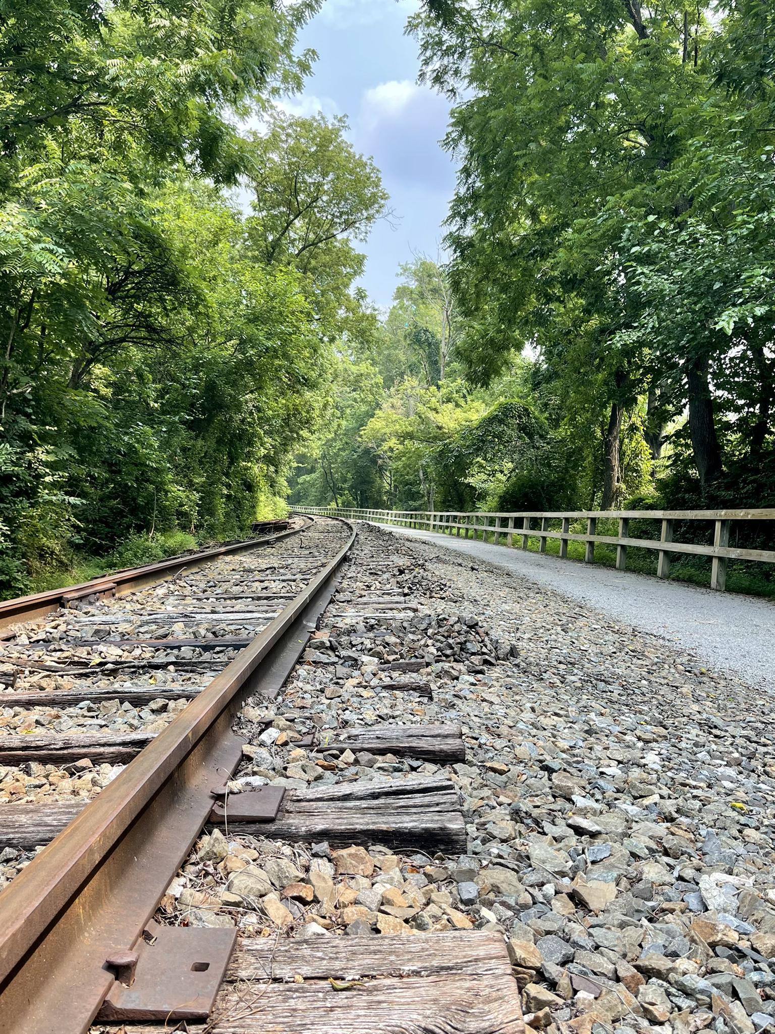 Railroad tracks beside a gravel path, lined with green trees under bright sky.