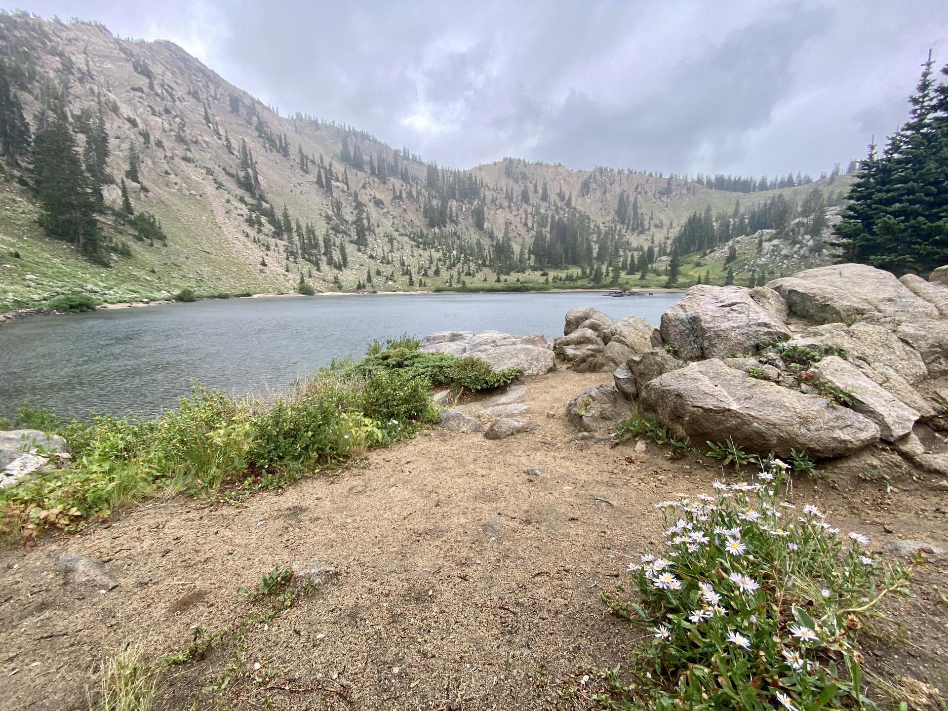 Rocky lake shore with wildflowers, backed by steep mountains under an overcast sky.