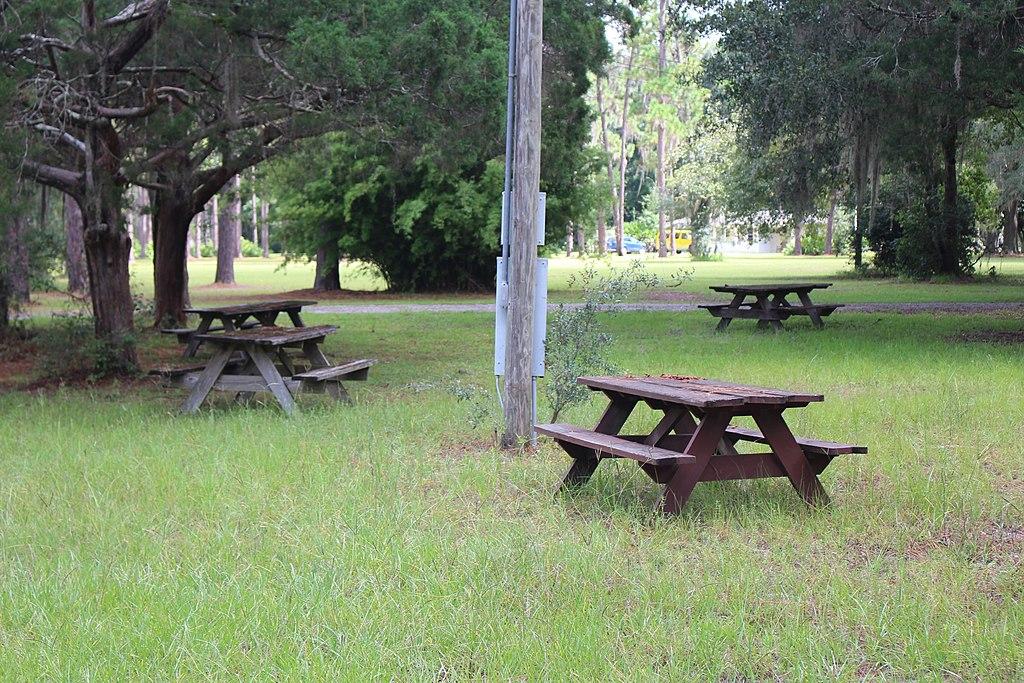 Several empty wooden picnic tables sit on a grassy field under trees.