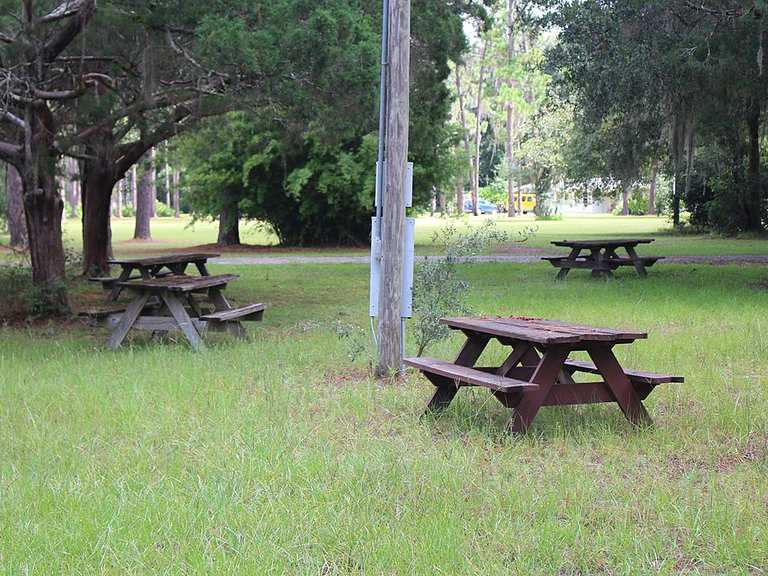 Battlefield Trail and Florida National Scenic Trail loop — Olustee ...