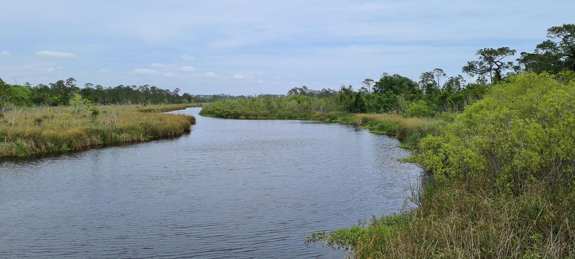 A winding river flows through a marshy landscape under an overcast sky.