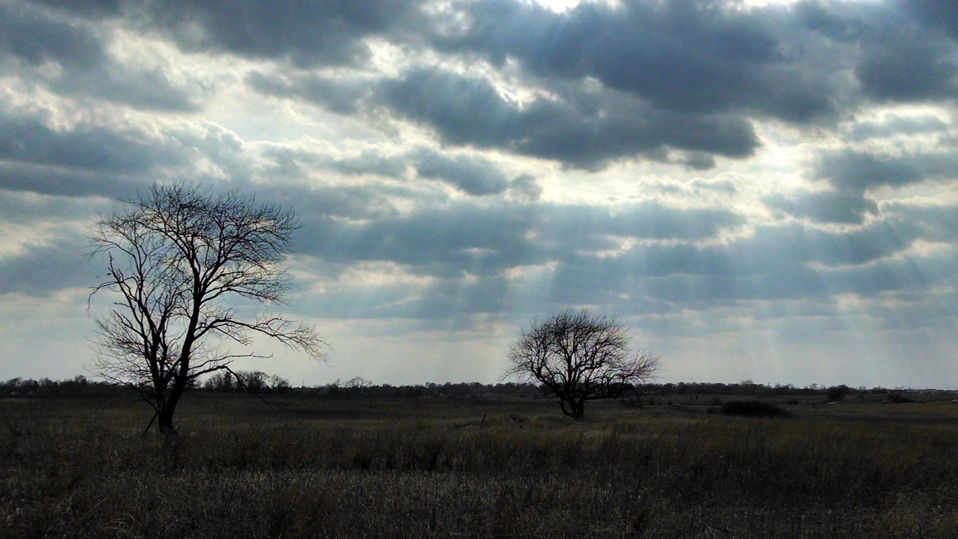Sun rays pierce dark clouds over a field with two bare trees.
