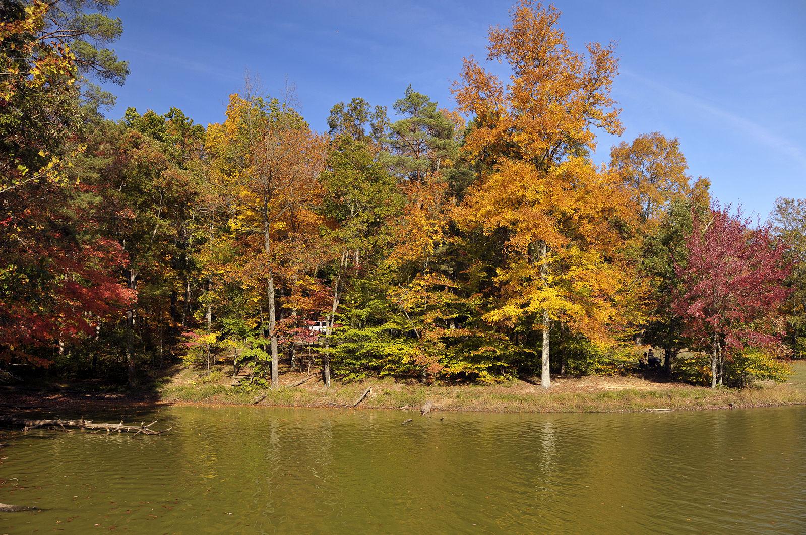 Bright autumn trees with colorful foliage reflect on calm water under a blue sky.