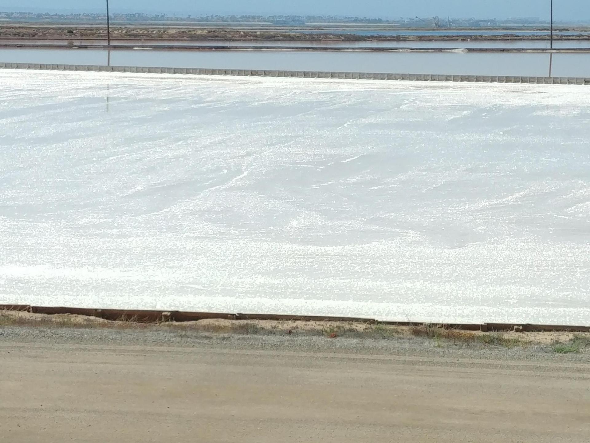 Expansive white crystalline surface, possibly salt flats, under a bright sky.