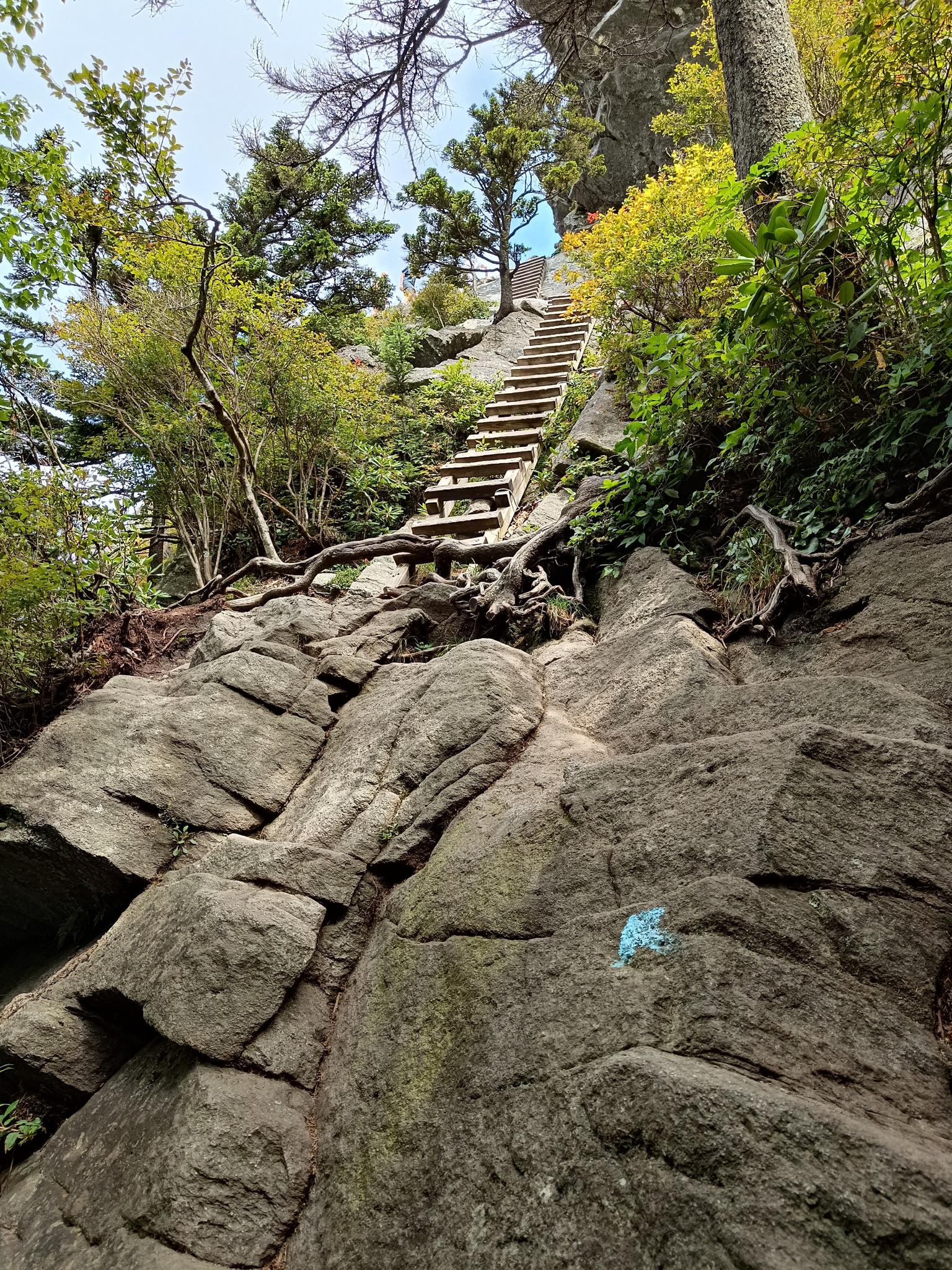 Steep wooden stairs ascend a rocky, green forested mountain path.