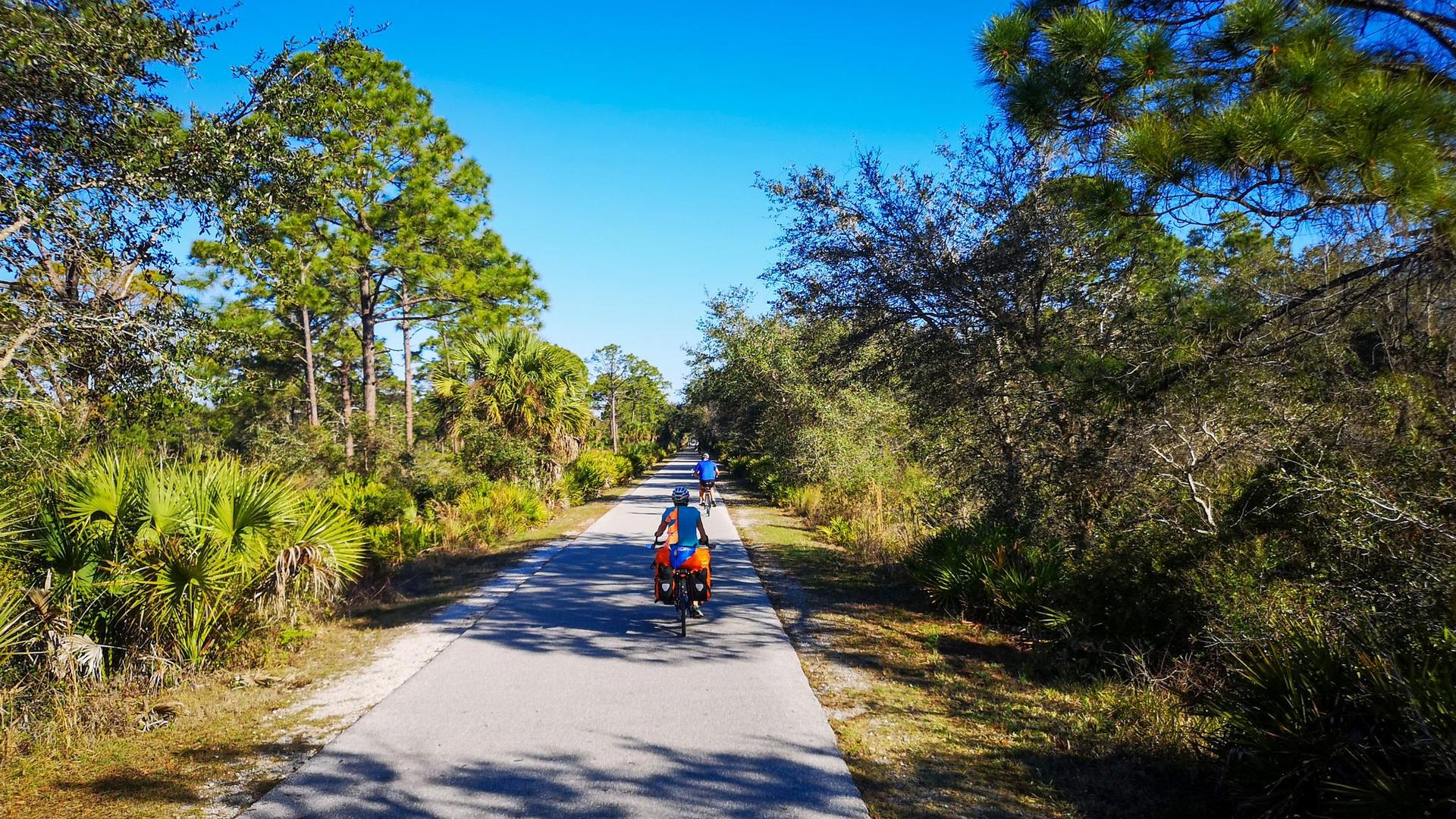 Two cyclists on a paved path through sunny green woodlands.