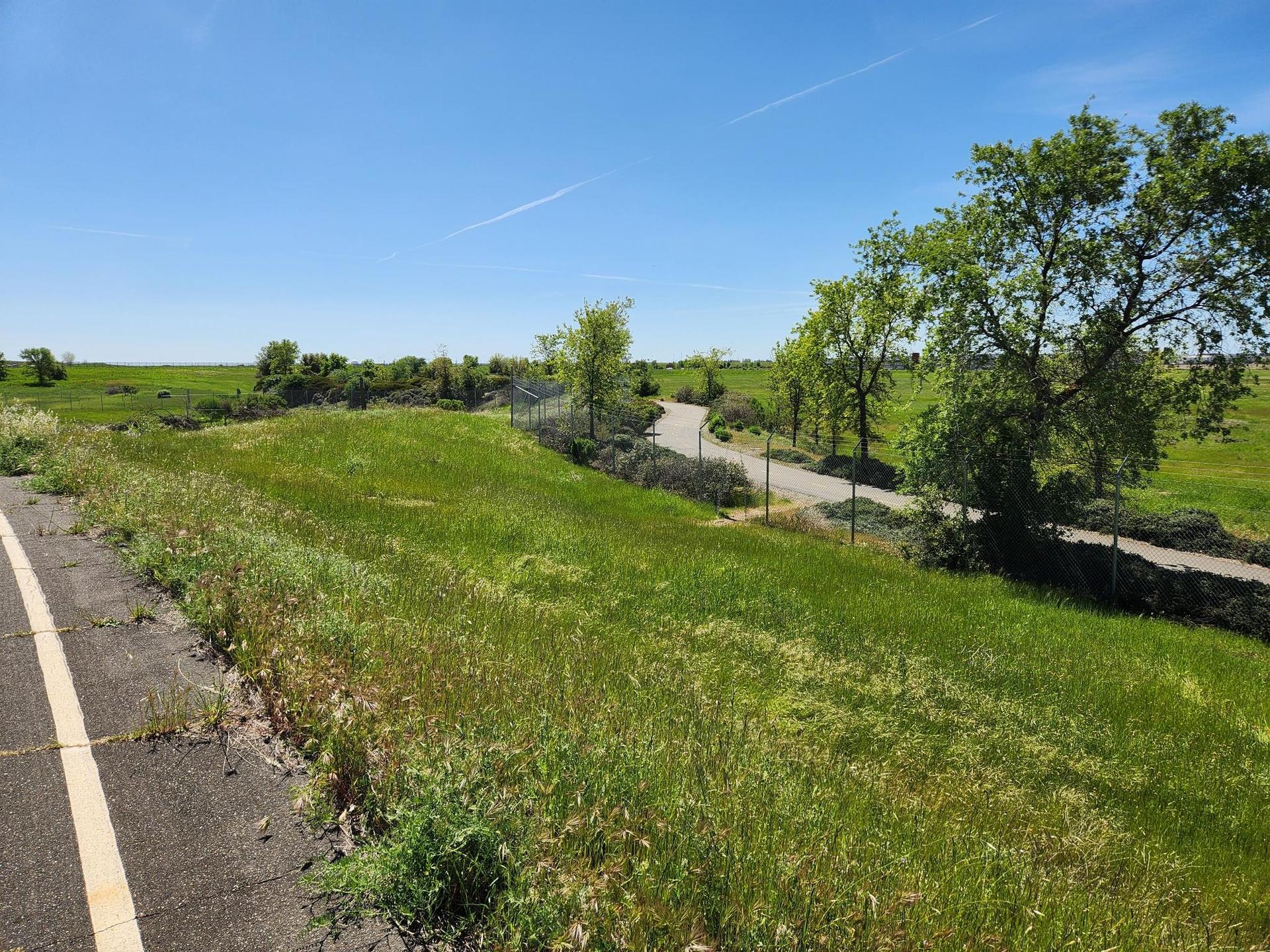 Green grassy field slopes down to a paved path with trees under a clear sky.