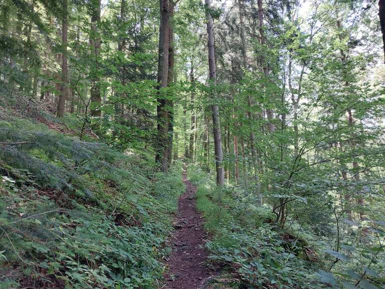 Chemin de liaison – Randonnées & Comment s'y rendre | Komoot