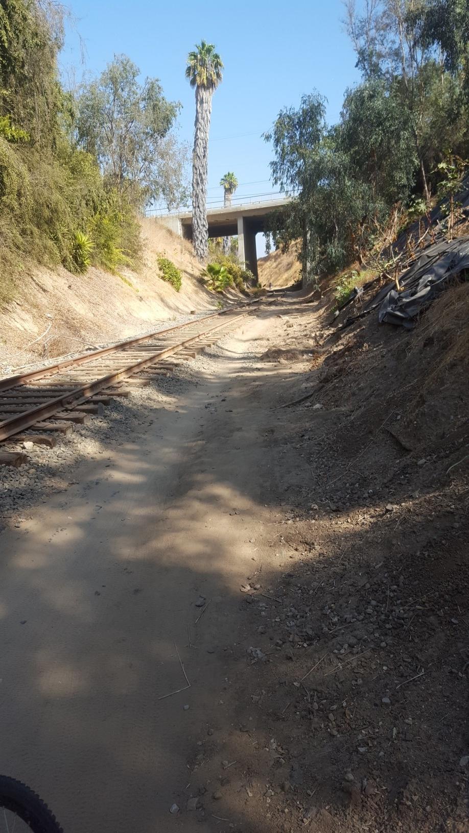 Dirt path beside railroad tracks under a bridge with tall palm trees.