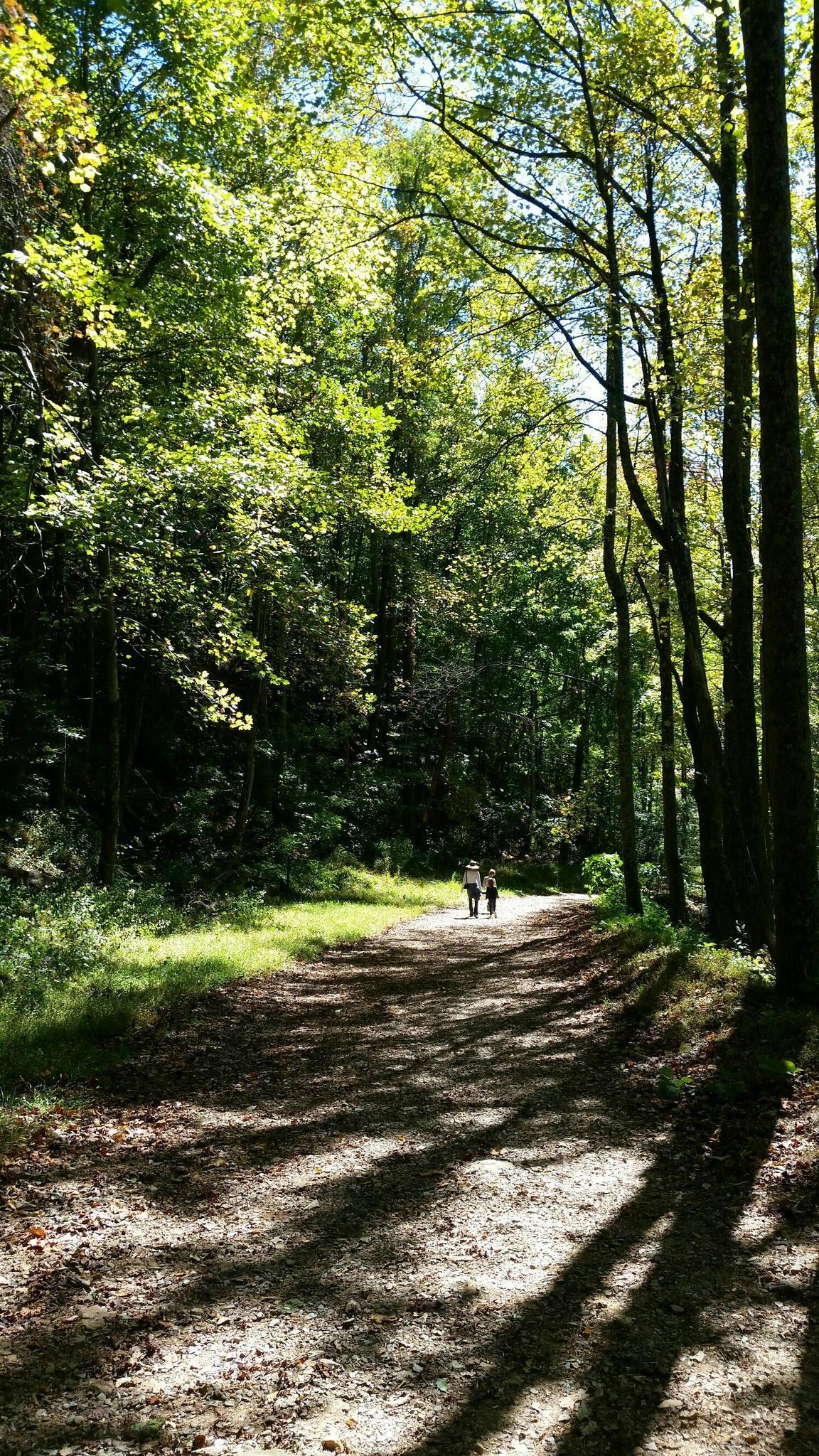 Two people walk on a sun-dappled dirt road through a dense forest.