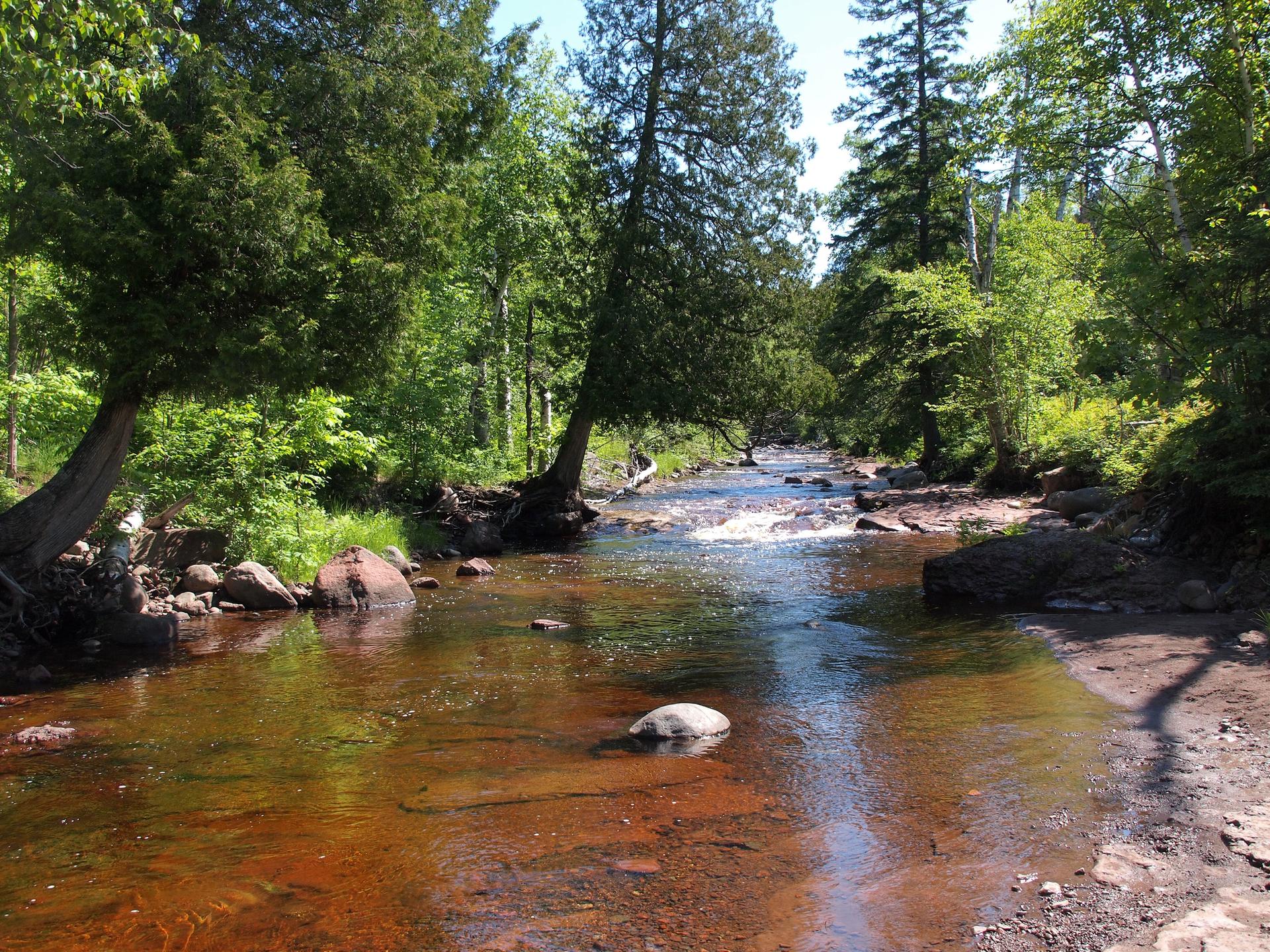 A clear river flows through a sunlit forest with green trees and rocks.