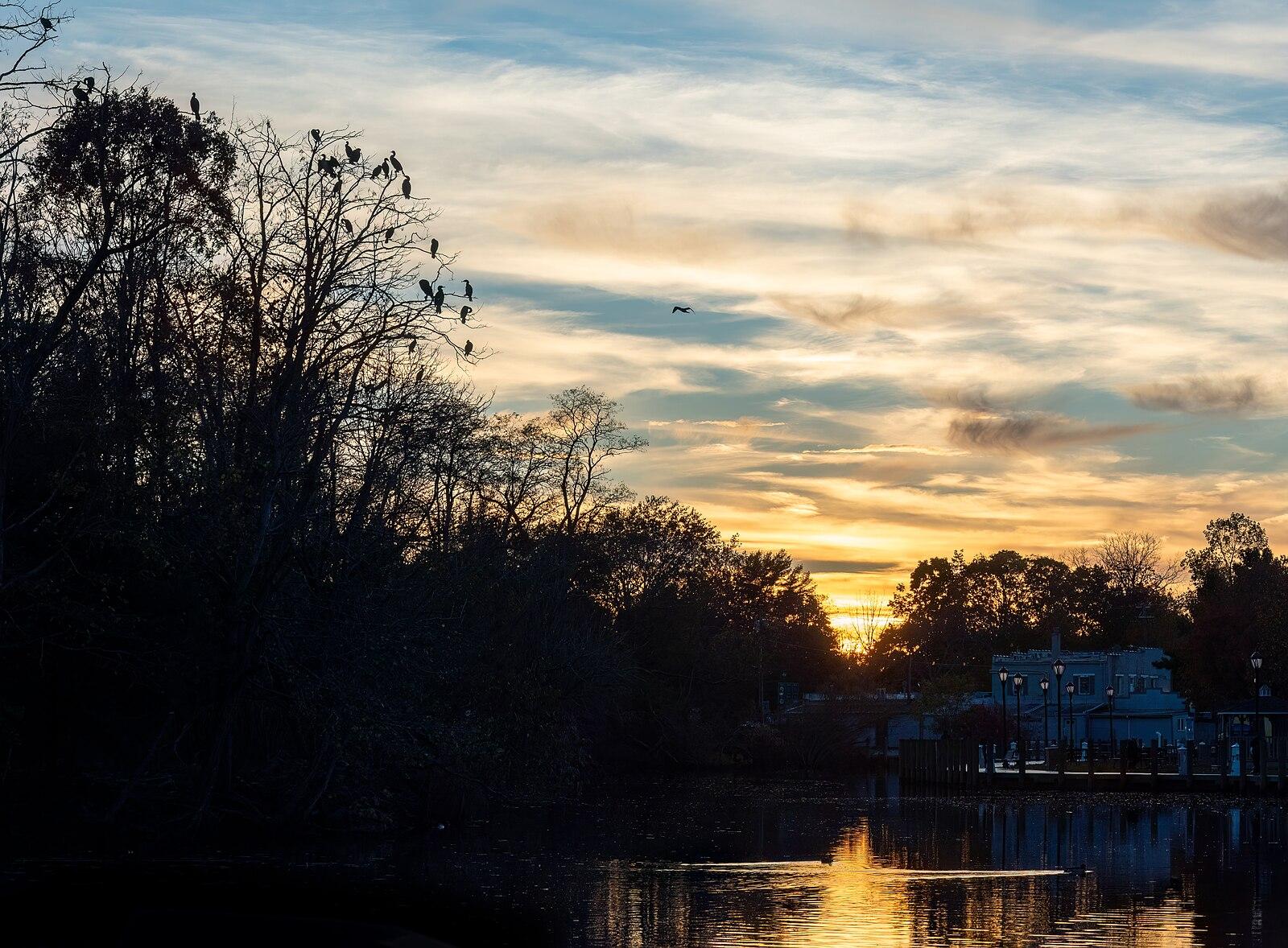 Sunset over water with silhouetted trees, birds, and distant building.