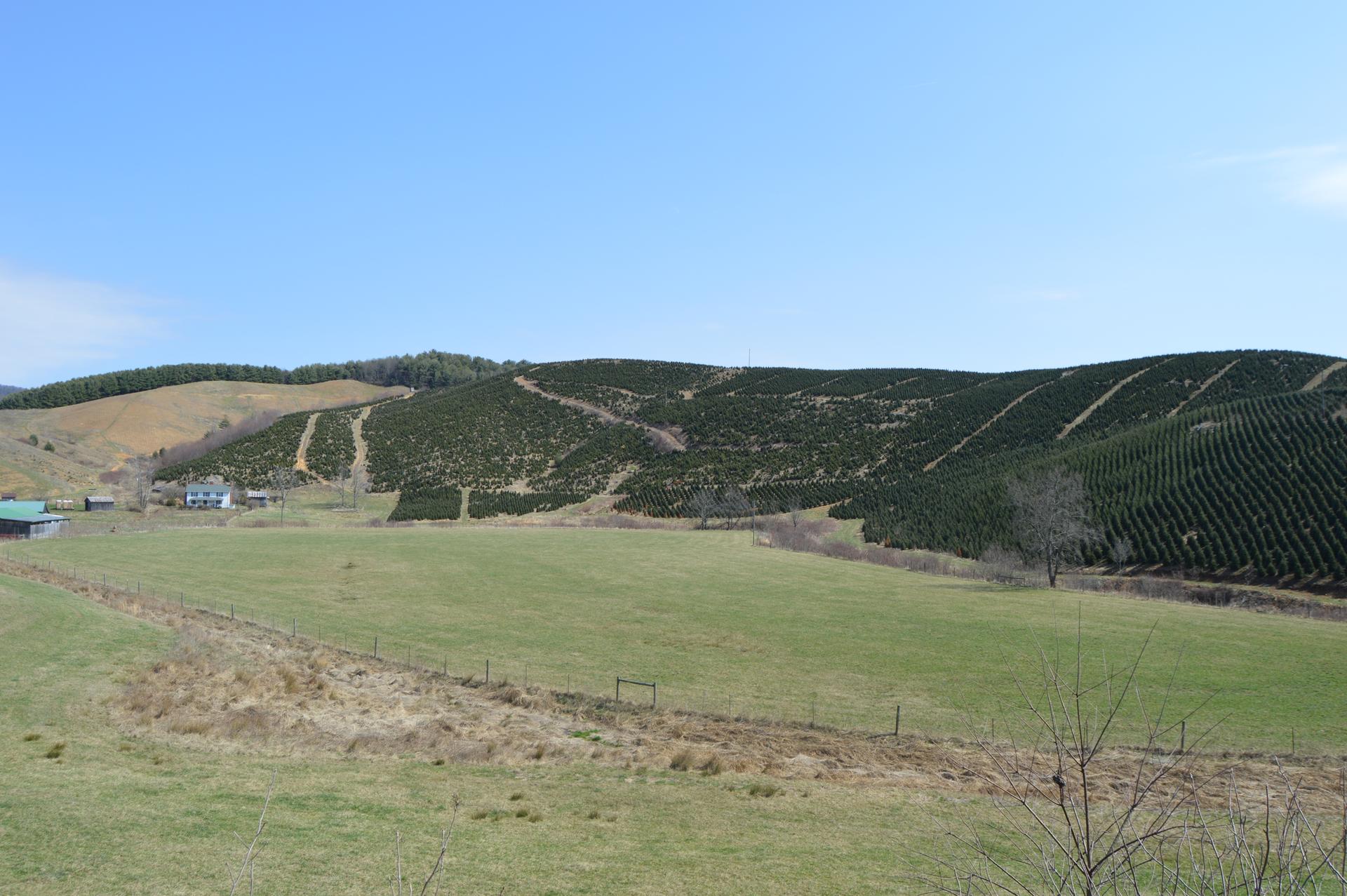 Expansive view of green fields and tree-covered hills under a bright blue sky.