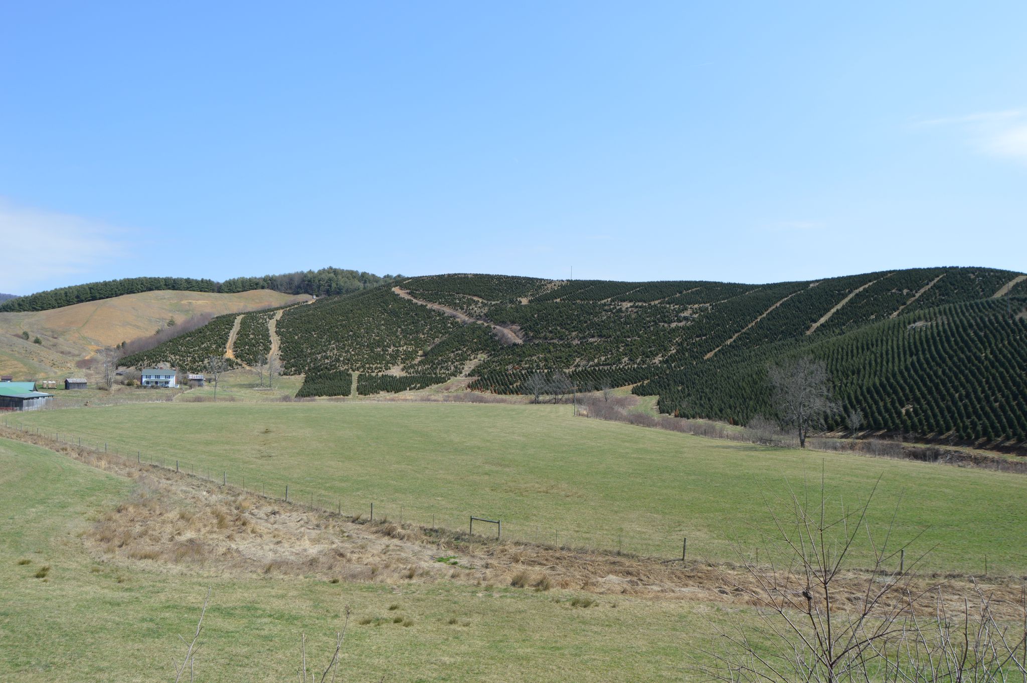 Expansive view of green fields and tree-covered hills under a bright blue sky. - TransVirginia Bike Route - Fries Loop