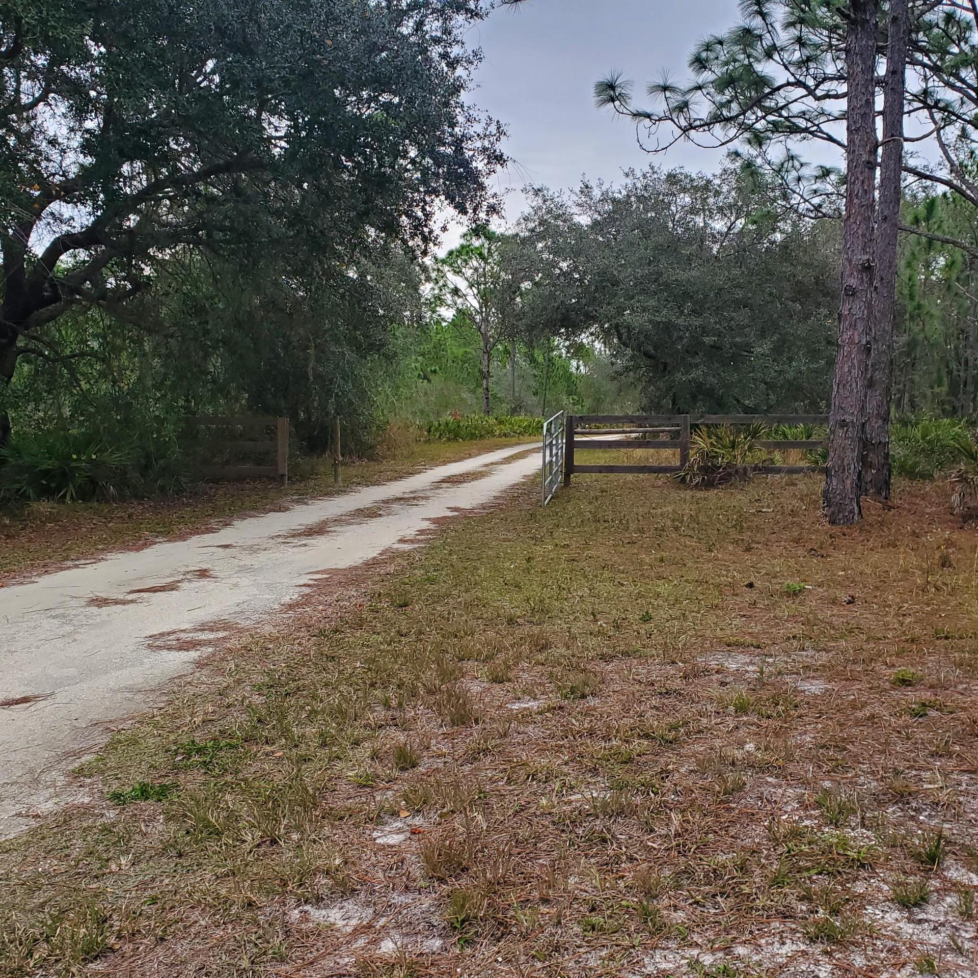 A dirt road leads to a wooden gate in a dense, overcast forest.