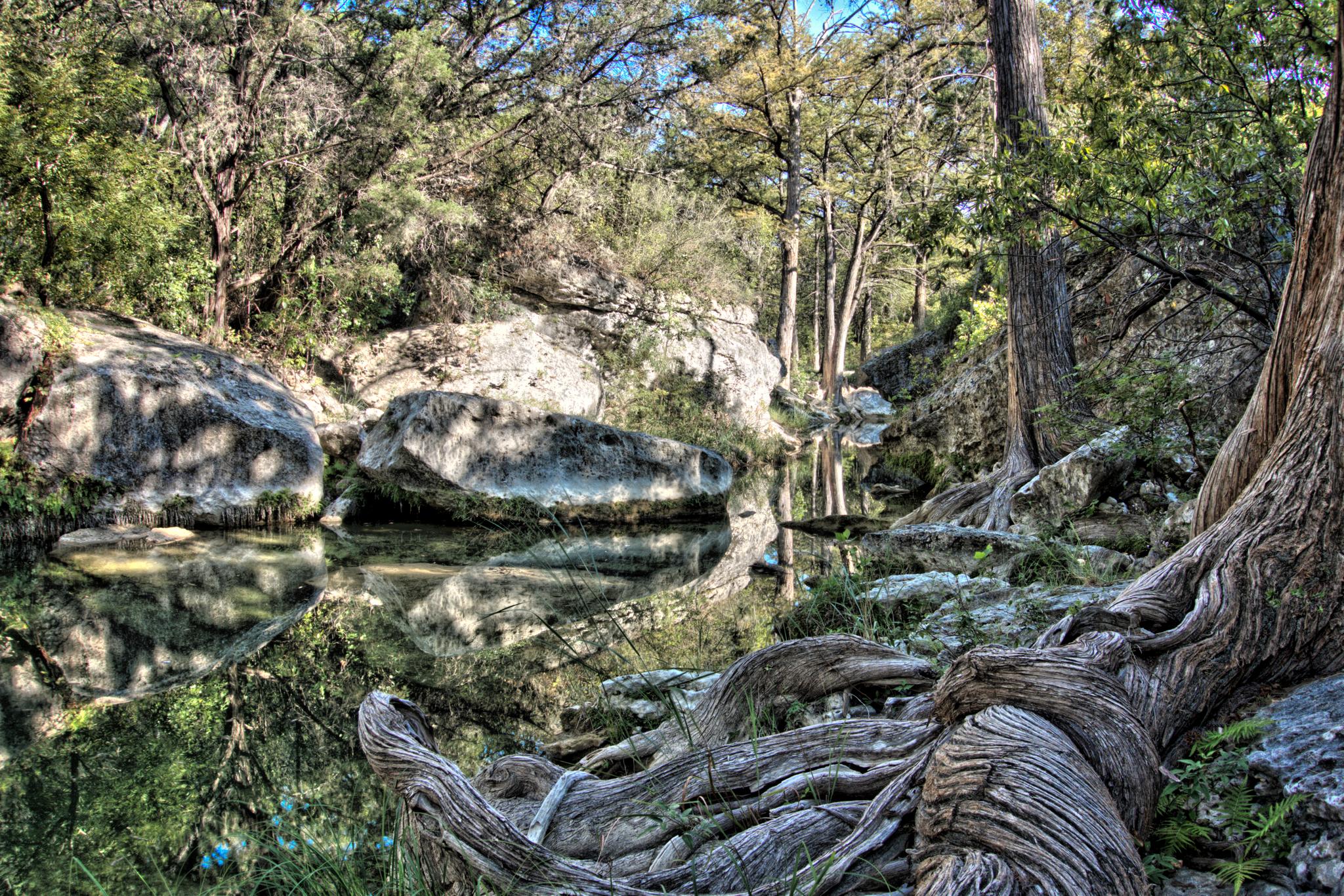 Serene stream reflecting trees and large rocks in a sun-dappled forest.
