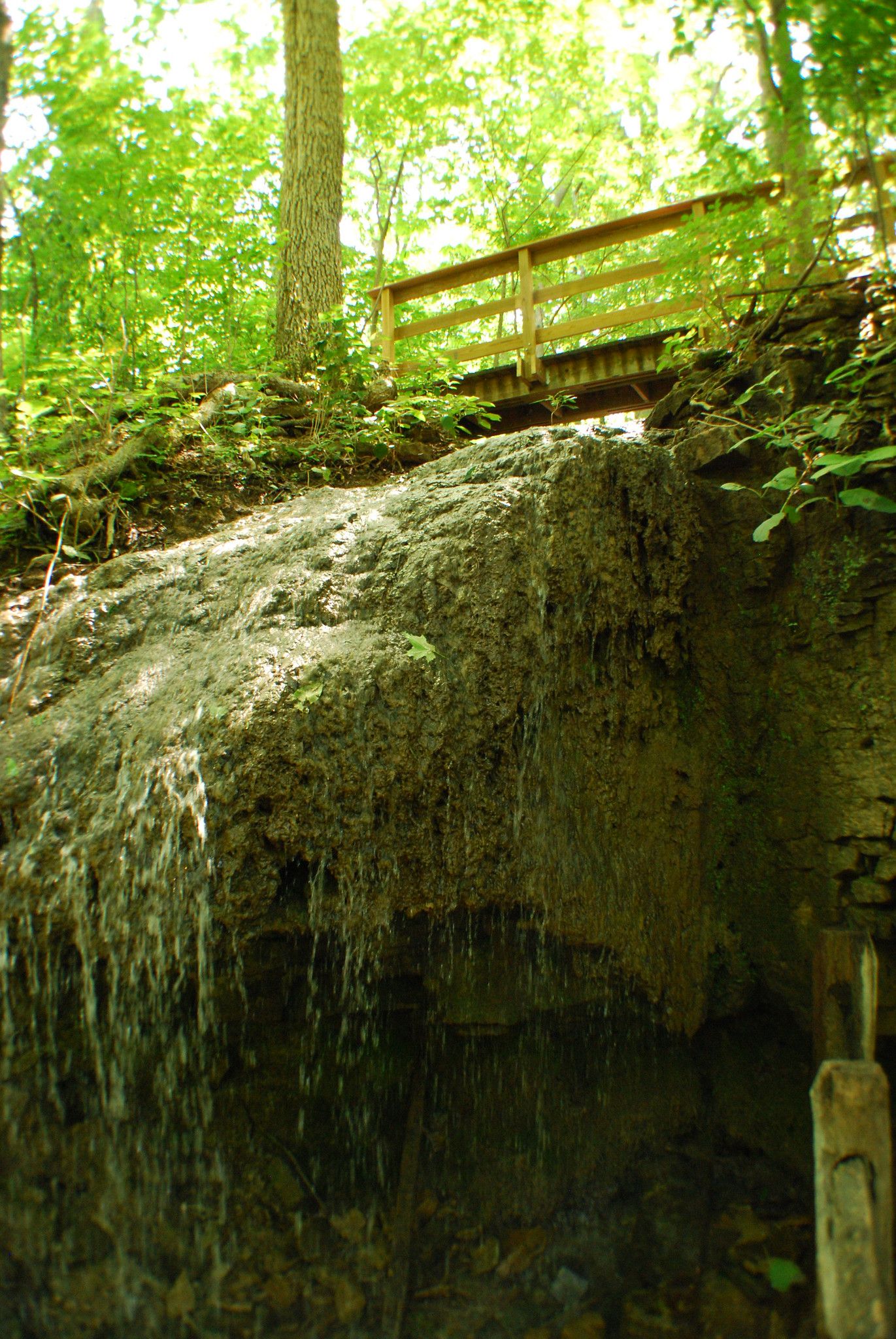 Small waterfall over mossy rocks, wooden bridge above in a bright forest. - Oak Falls – Englewood Metropark loop from Butler Township